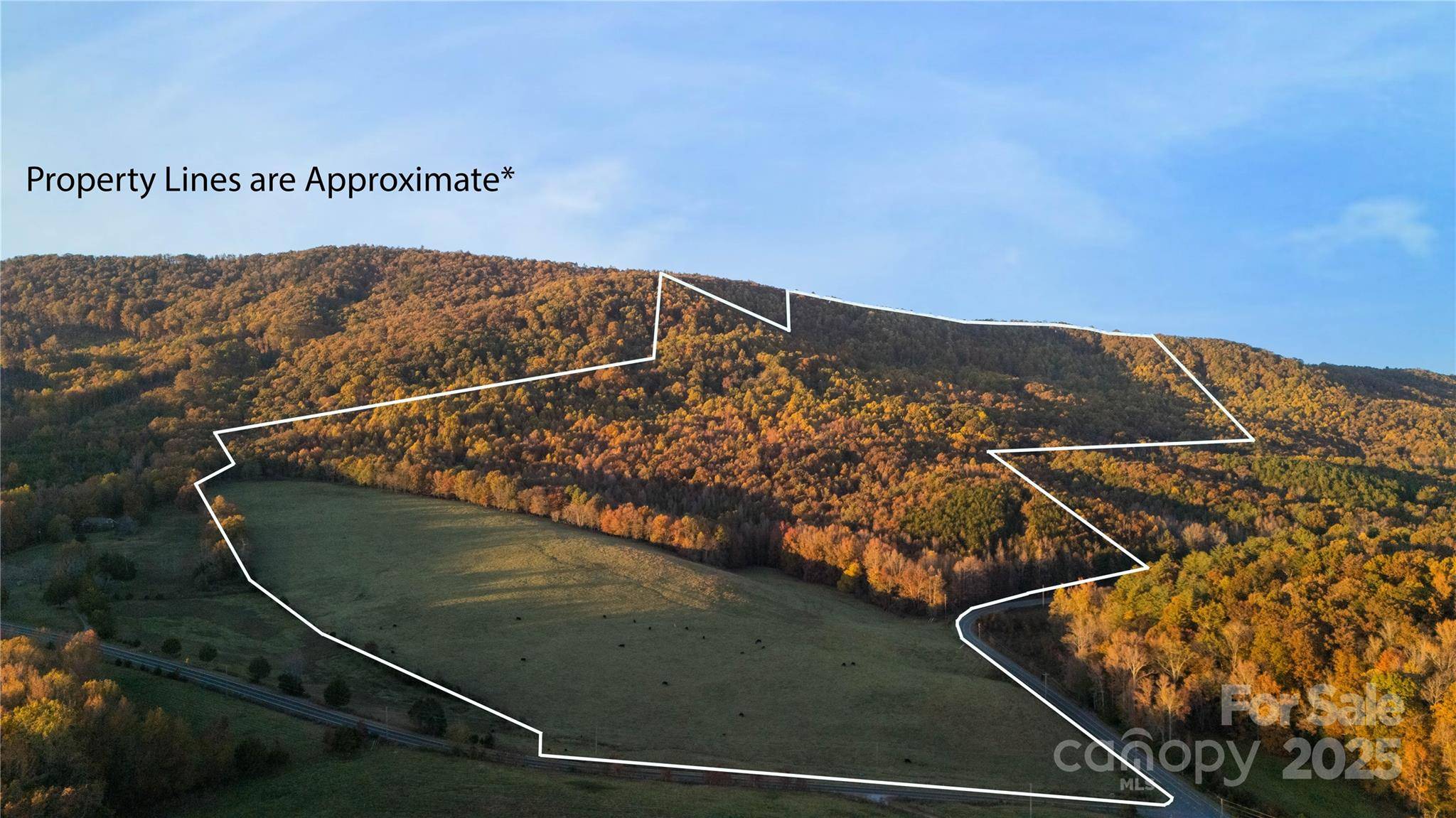 TBD Wards Gap RD, Casar, NC 28020