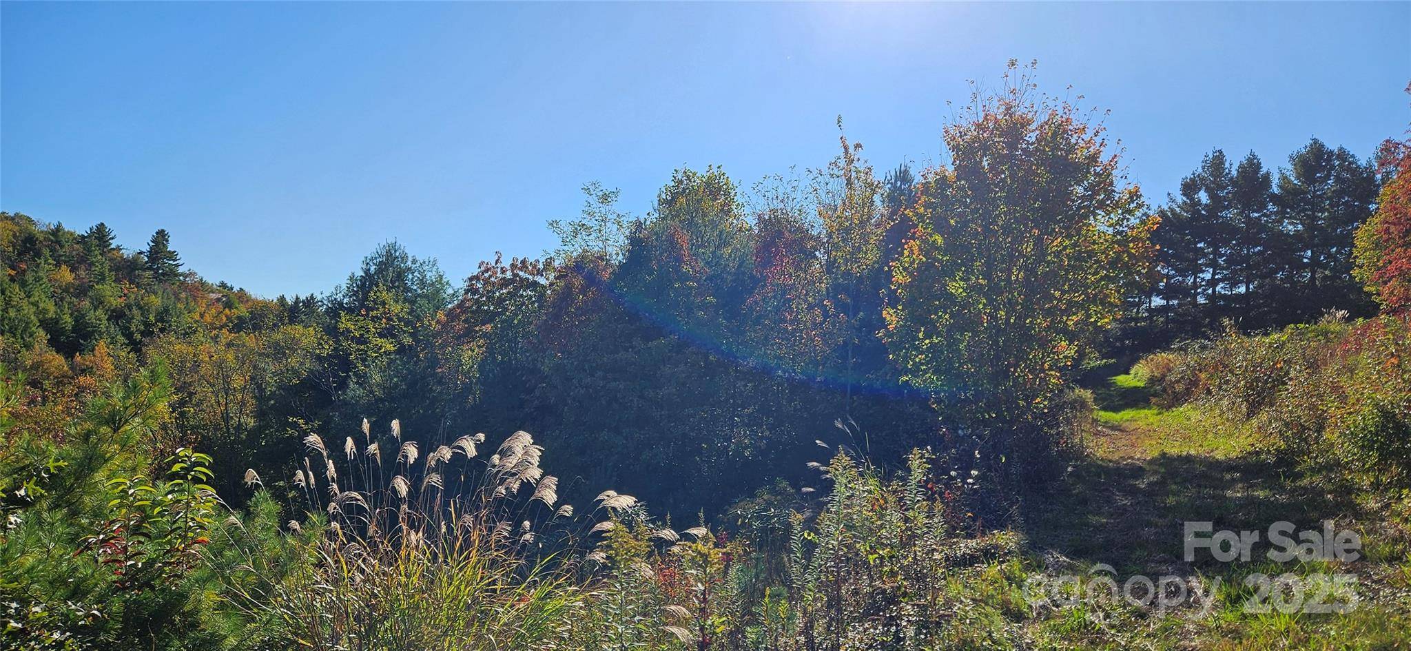 0 Clarktown RD, Newland, NC 28657