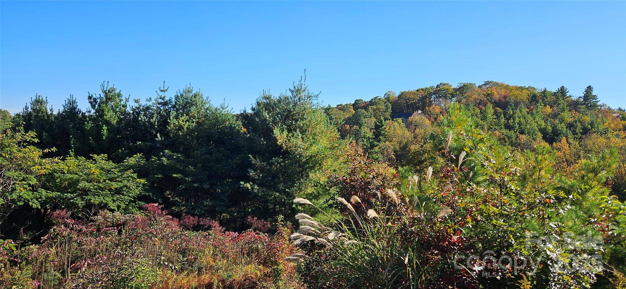 0 Clarktown RD, Newland, NC 28657