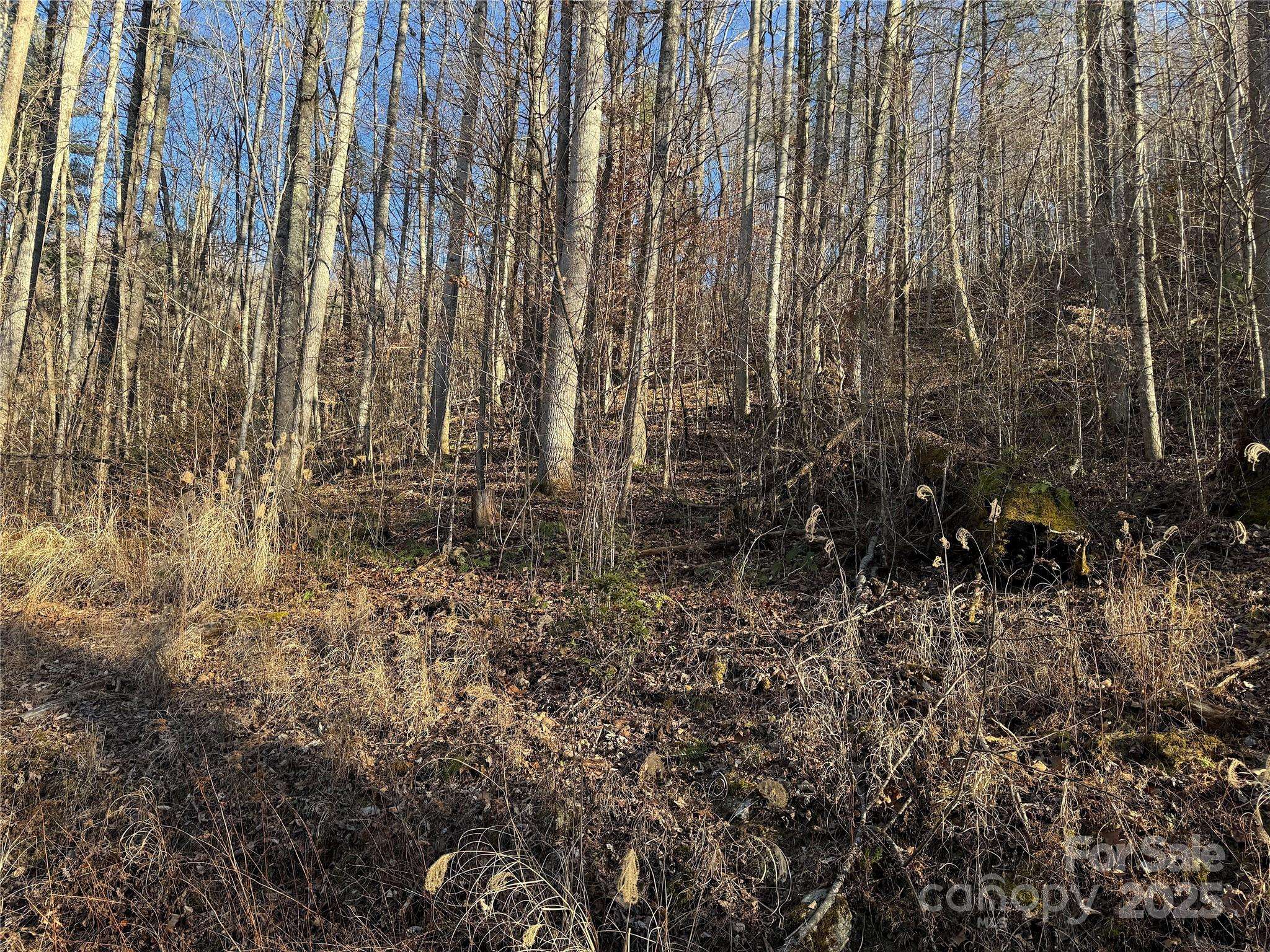 TBD Timberside DR, Mars Hill, NC 28754