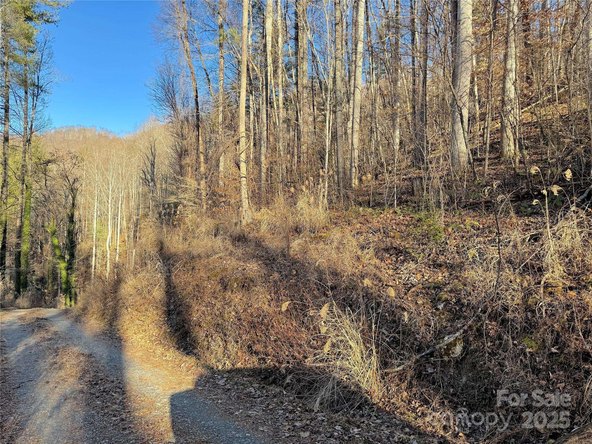 TBD Timberside DR, Mars Hill, NC 28754