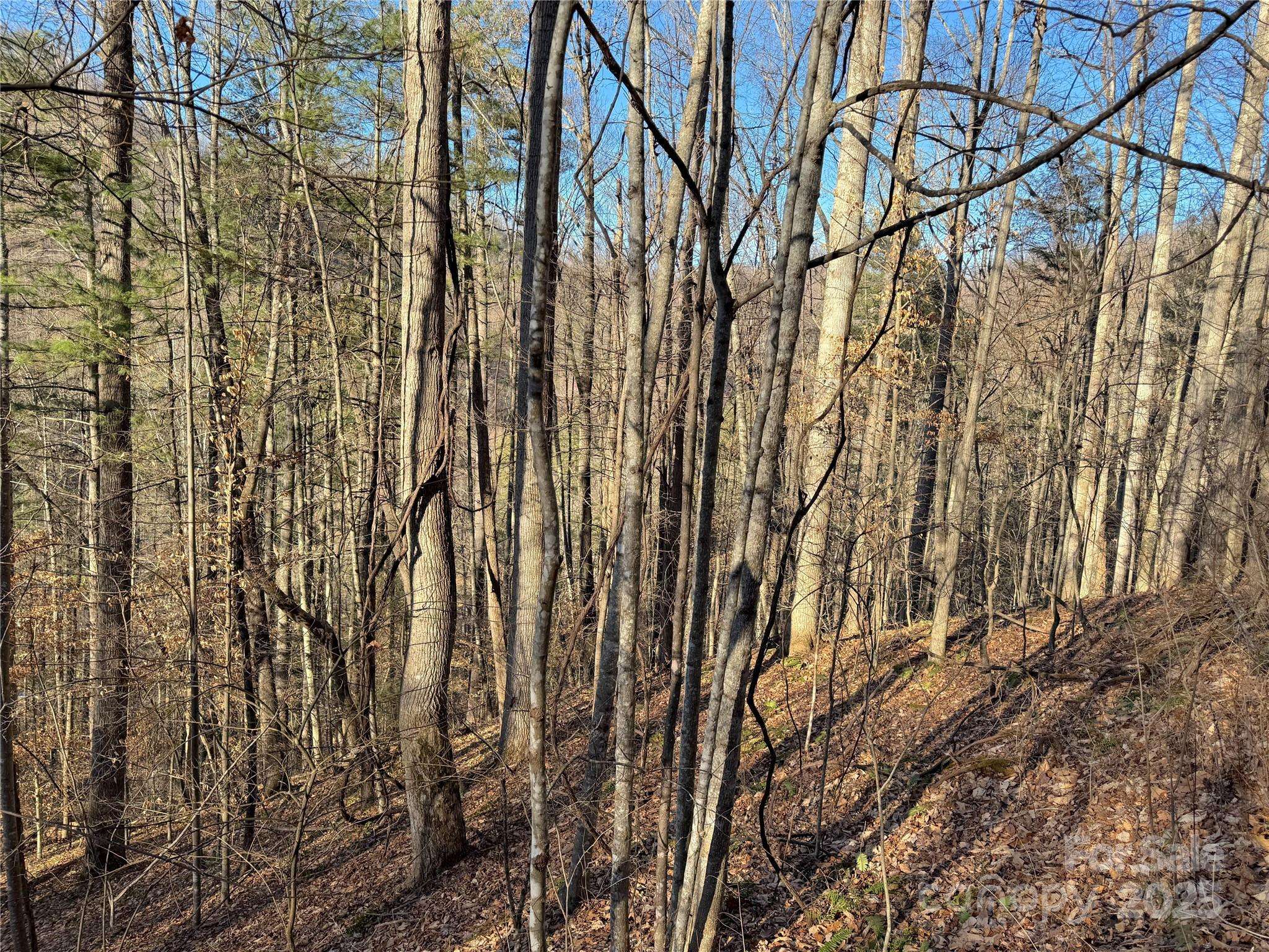 TBD Timberside DR, Mars Hill, NC 28754