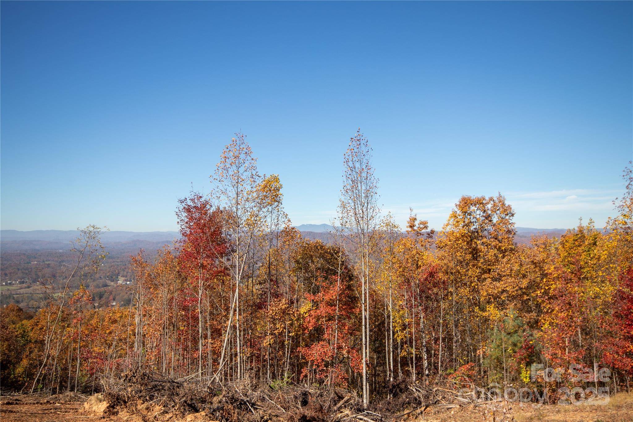 Lot# 4 Peregrine TER #4, Lenoir, NC 28645
