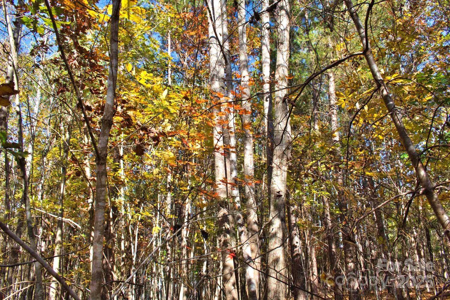 0 Creekside CIR #113, Rutherfordton, NC 28139
