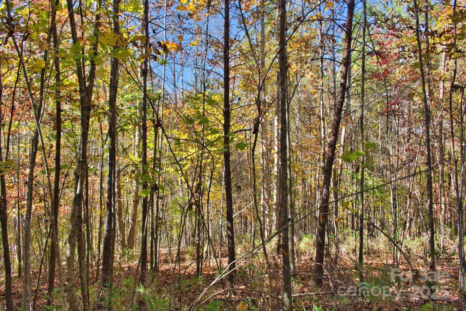 0 Creekside CIR #113, Rutherfordton, NC 28139