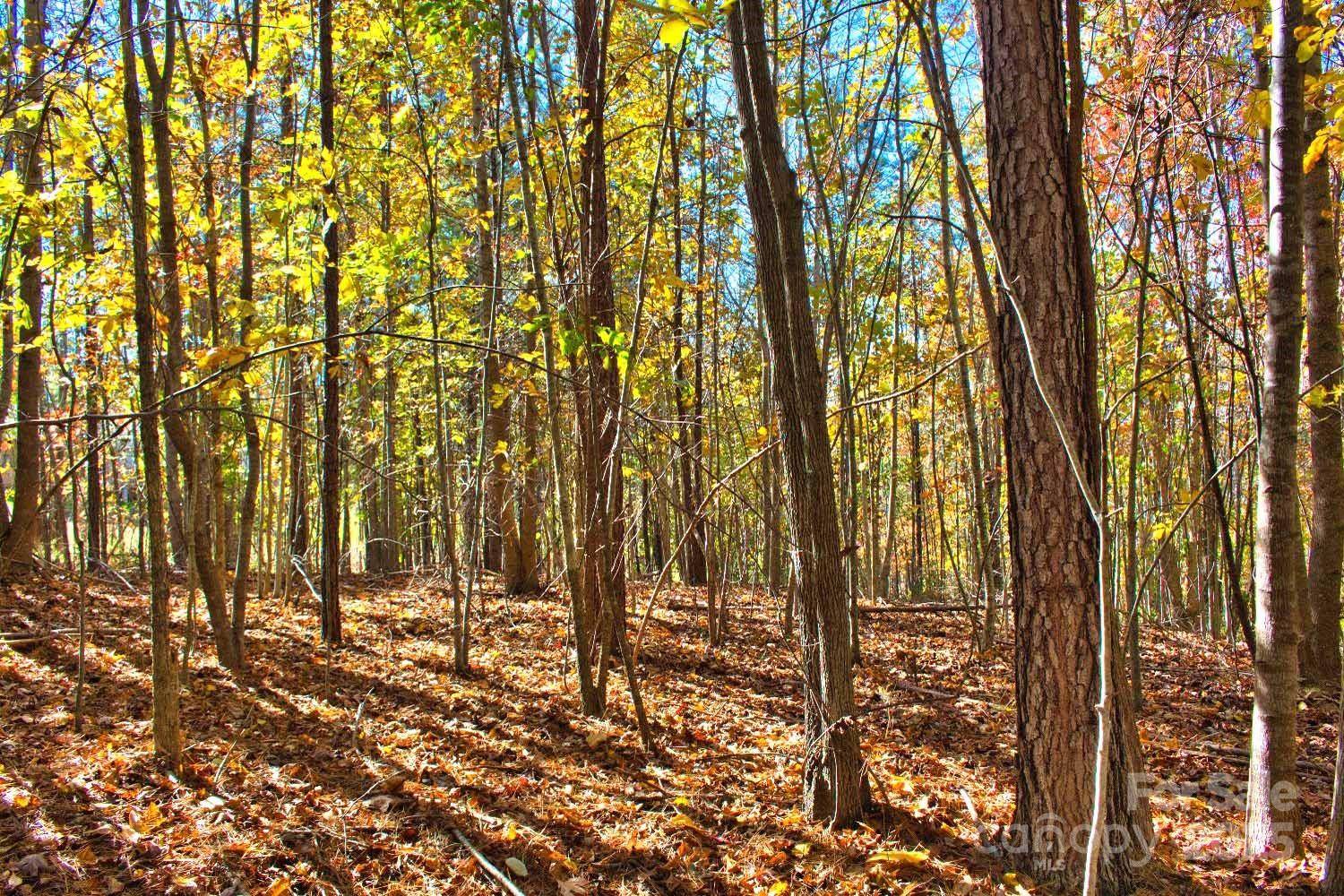 0 Creekside CIR #113, Rutherfordton, NC 28139
