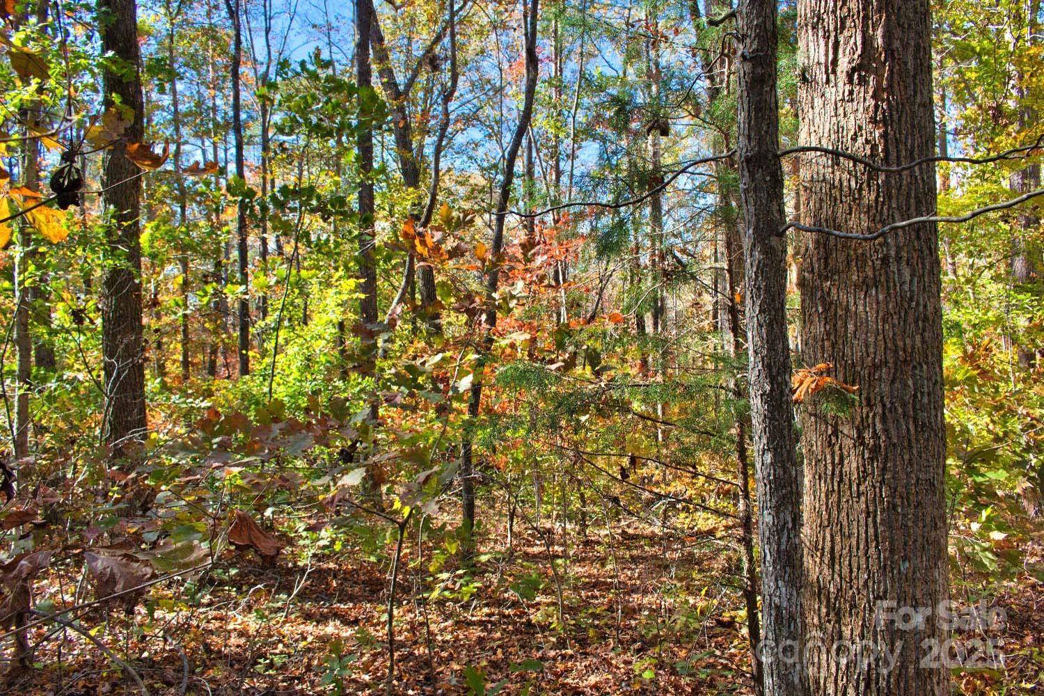 0 Bitteroot CIR #294, Rutherfordton, NC 28139