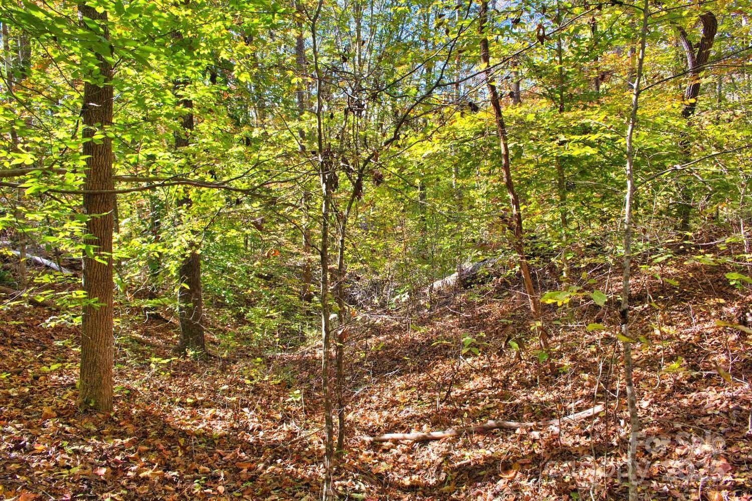 0 Bitteroot CIR #294, Rutherfordton, NC 28139