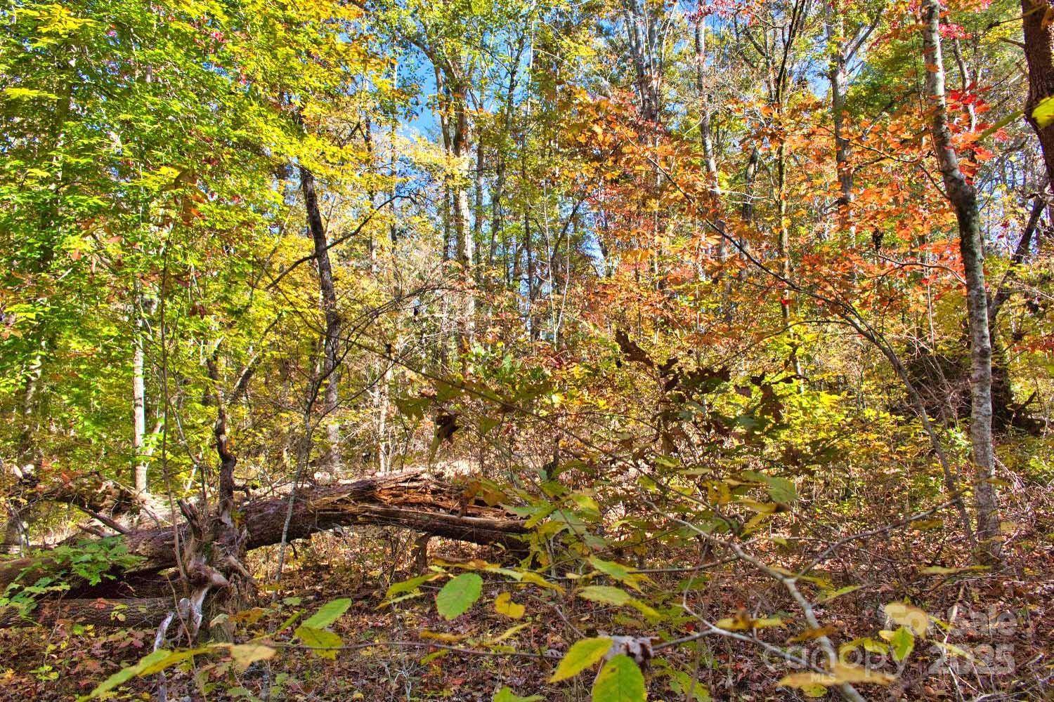 0 Bitteroot CIR #294, Rutherfordton, NC 28139