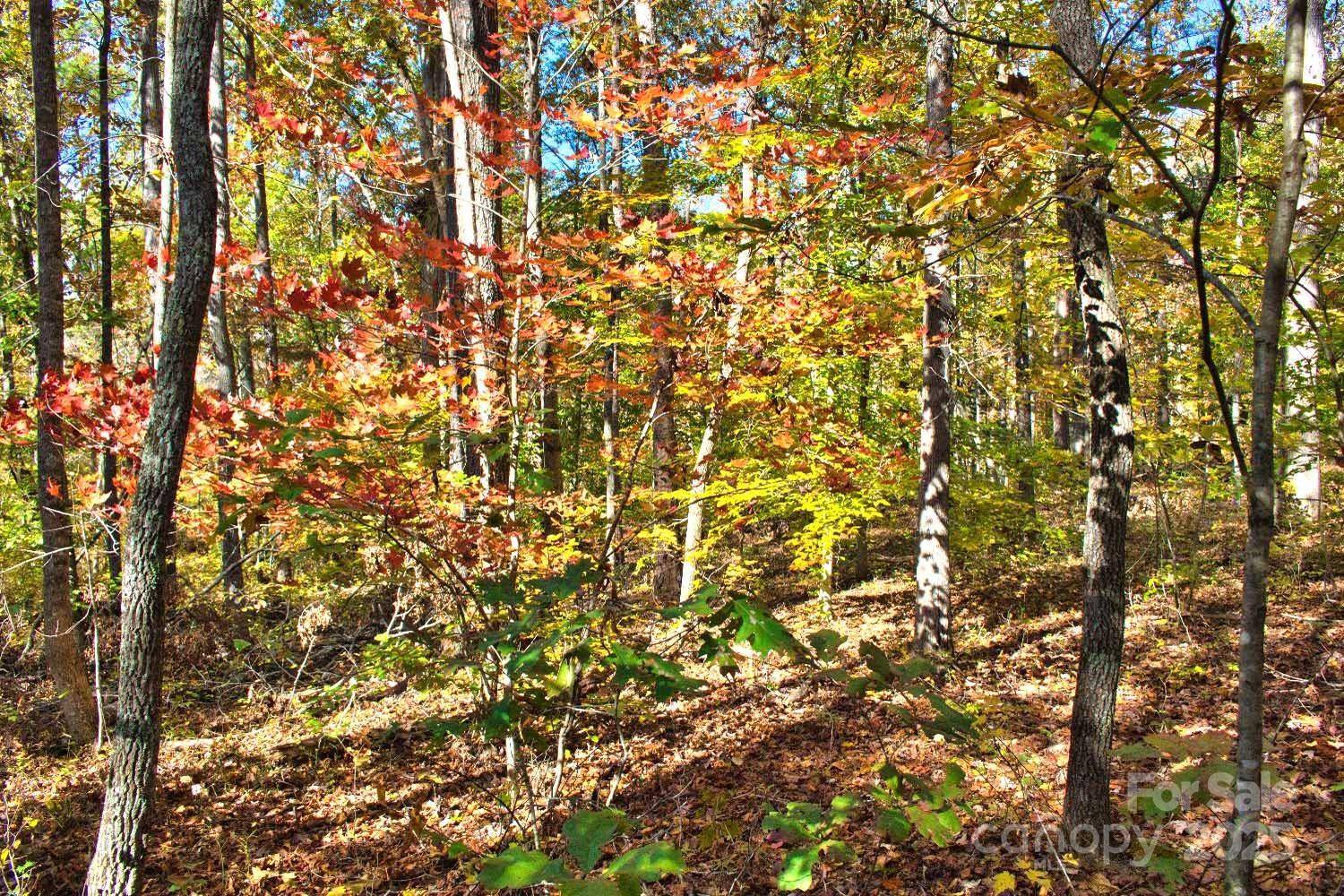 0 Bitteroot CIR #294, Rutherfordton, NC 28139