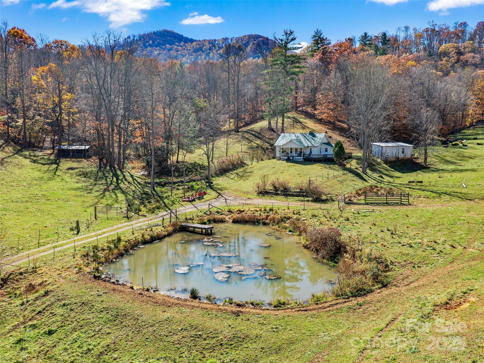 321 Lyle LN, Green Mountain, NC 28740