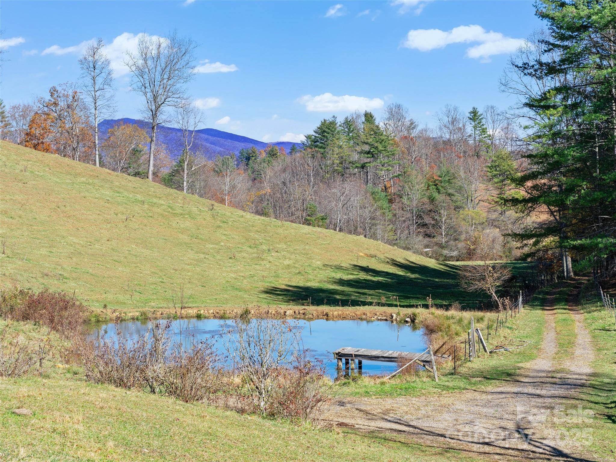 321 Lyle LN, Green Mountain, NC 28740