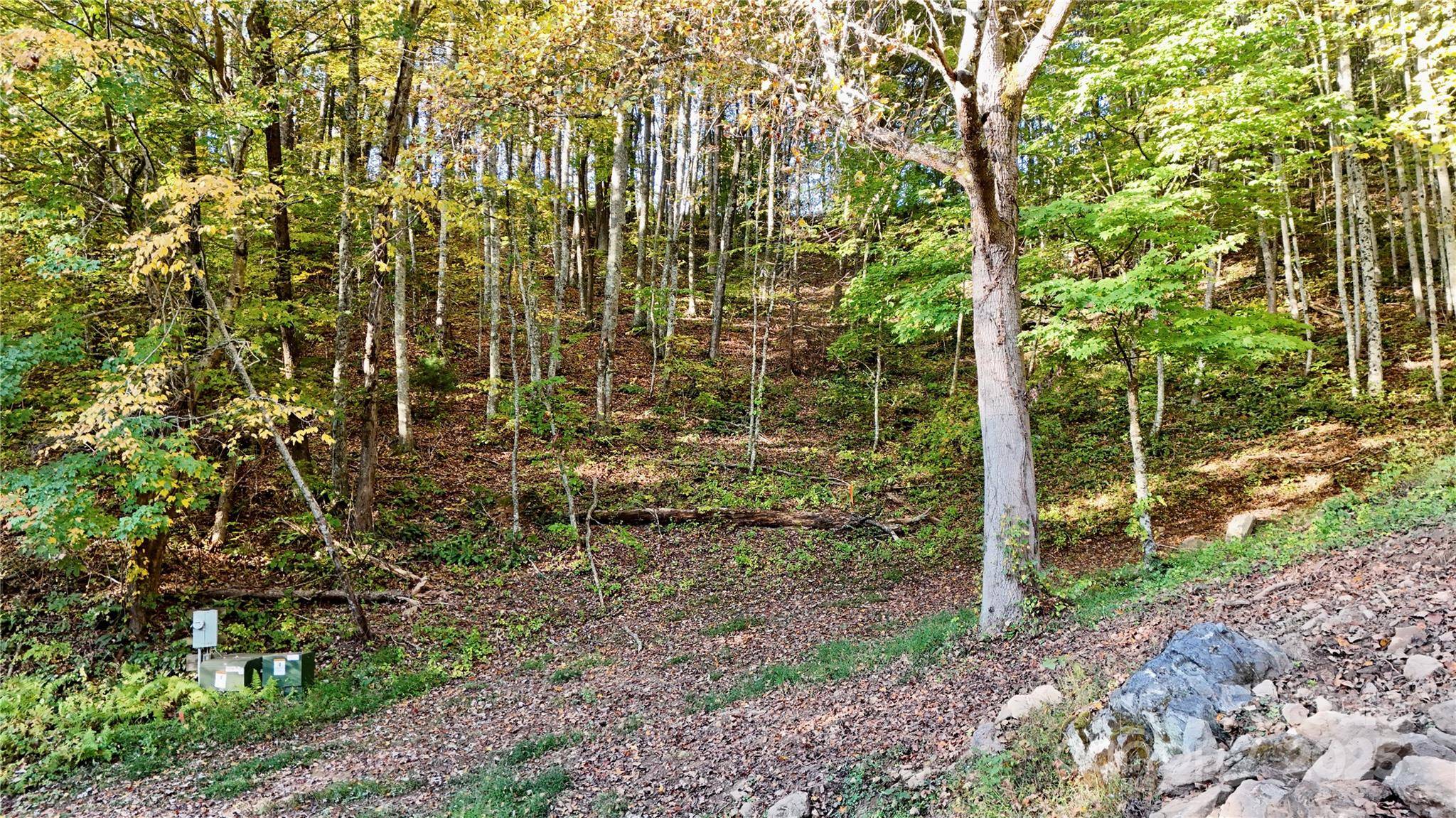 2 Roberts Mountain RD #2, Clyde, NC 28721