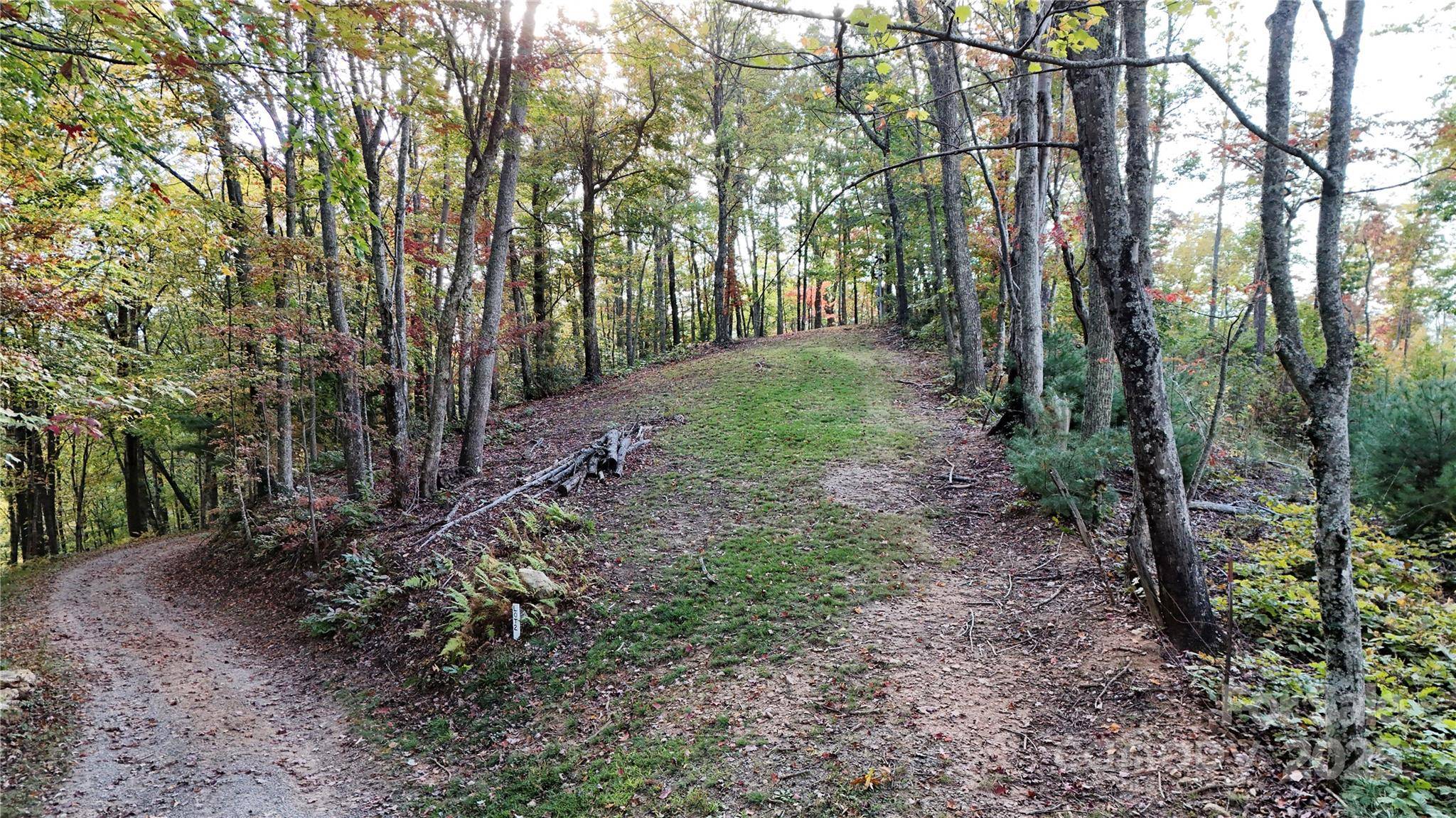2 Roberts Mountain RD #2, Clyde, NC 28721