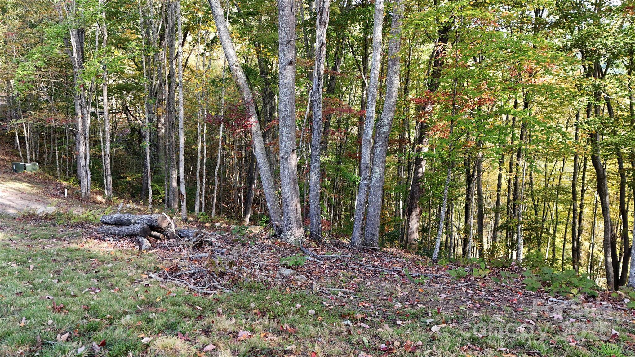 2 Roberts Mountain RD #2, Clyde, NC 28721
