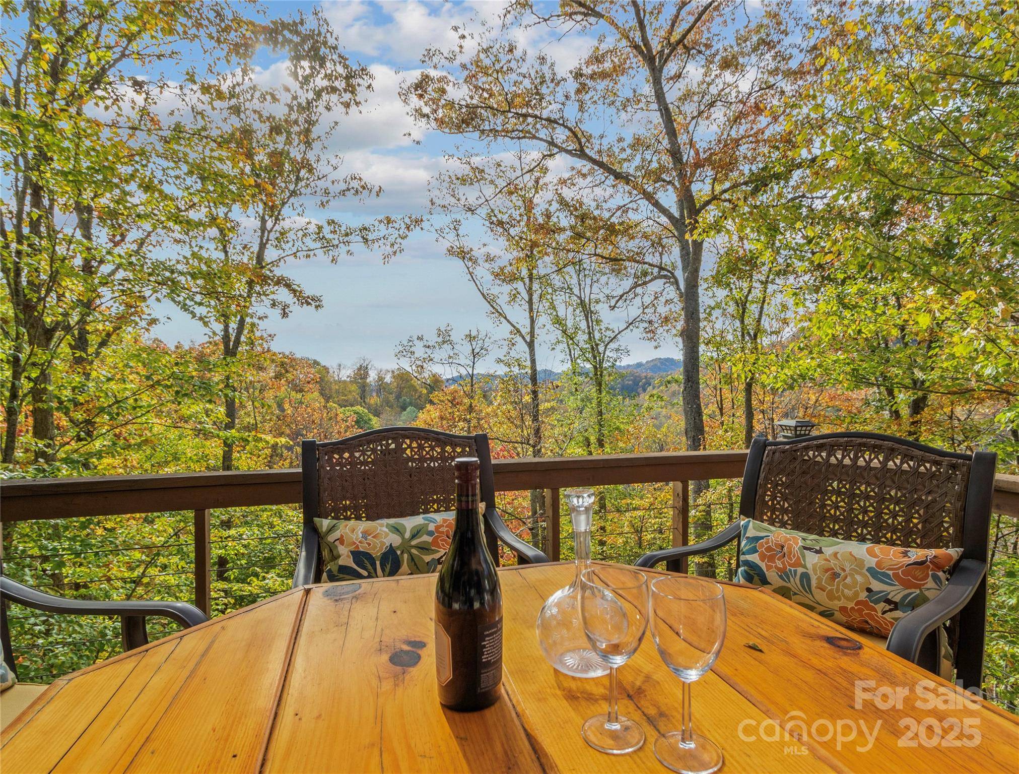 351 Buck Springs RUN, Mars Hill, NC 28754