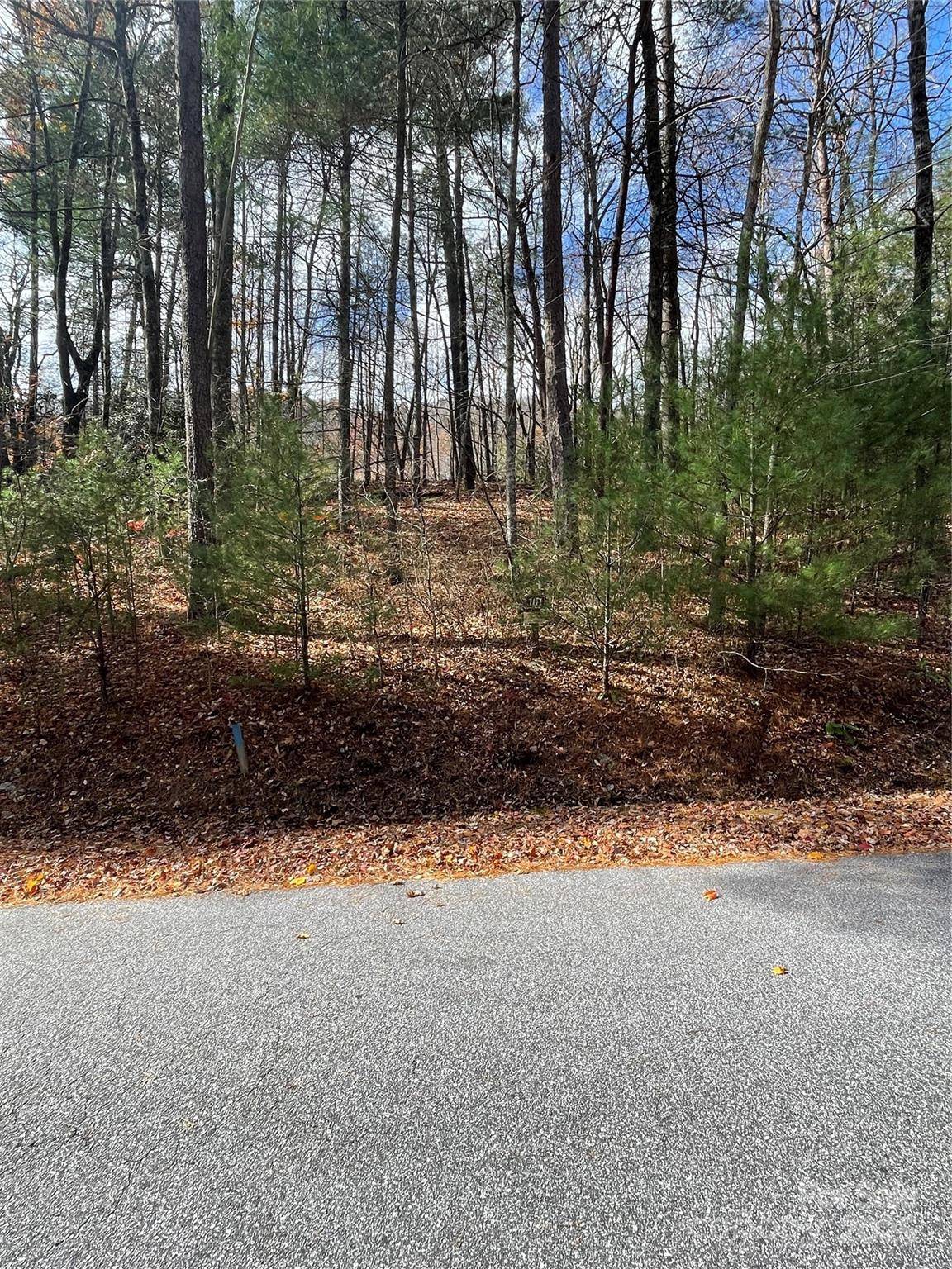 00 Pinnacle Falls LN, Zirconia, NC 28790