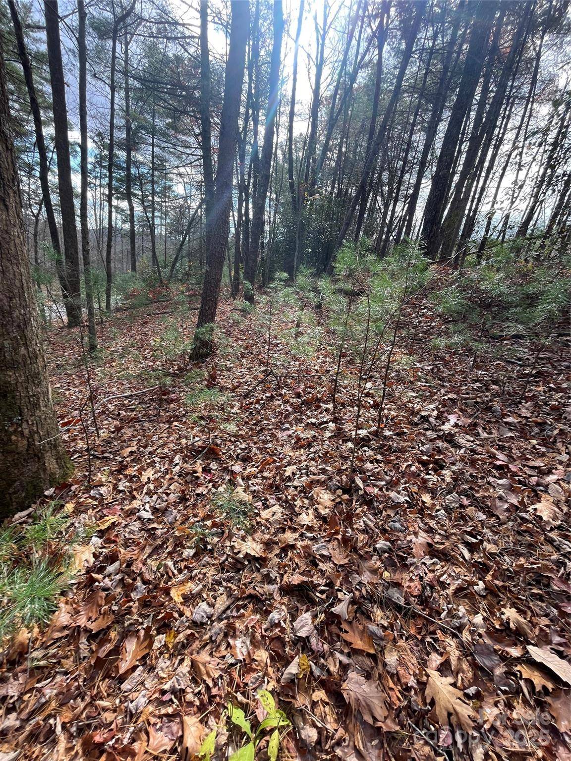 00 Pinnacle Falls LN, Zirconia, NC 28790