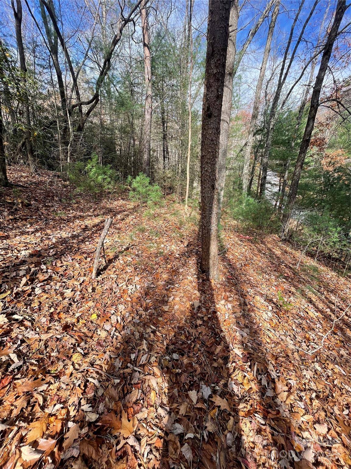 00 Pinnacle Falls LN, Zirconia, NC 28790