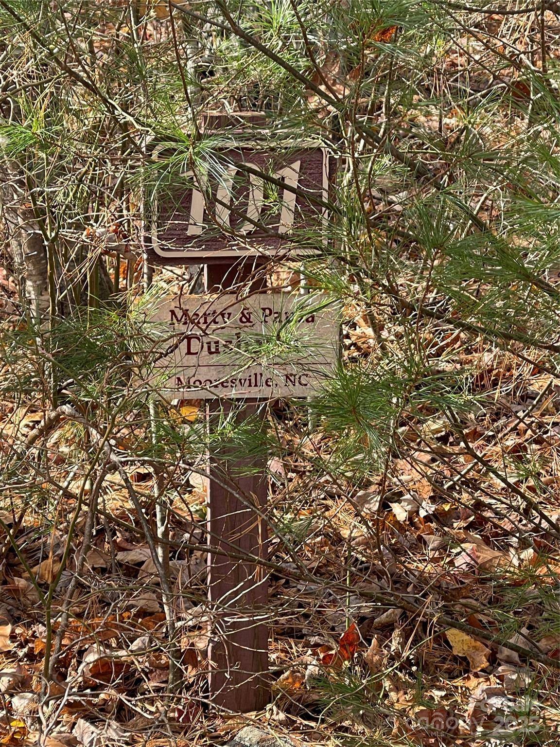 00 Pinnacle Falls LN, Zirconia, NC 28790