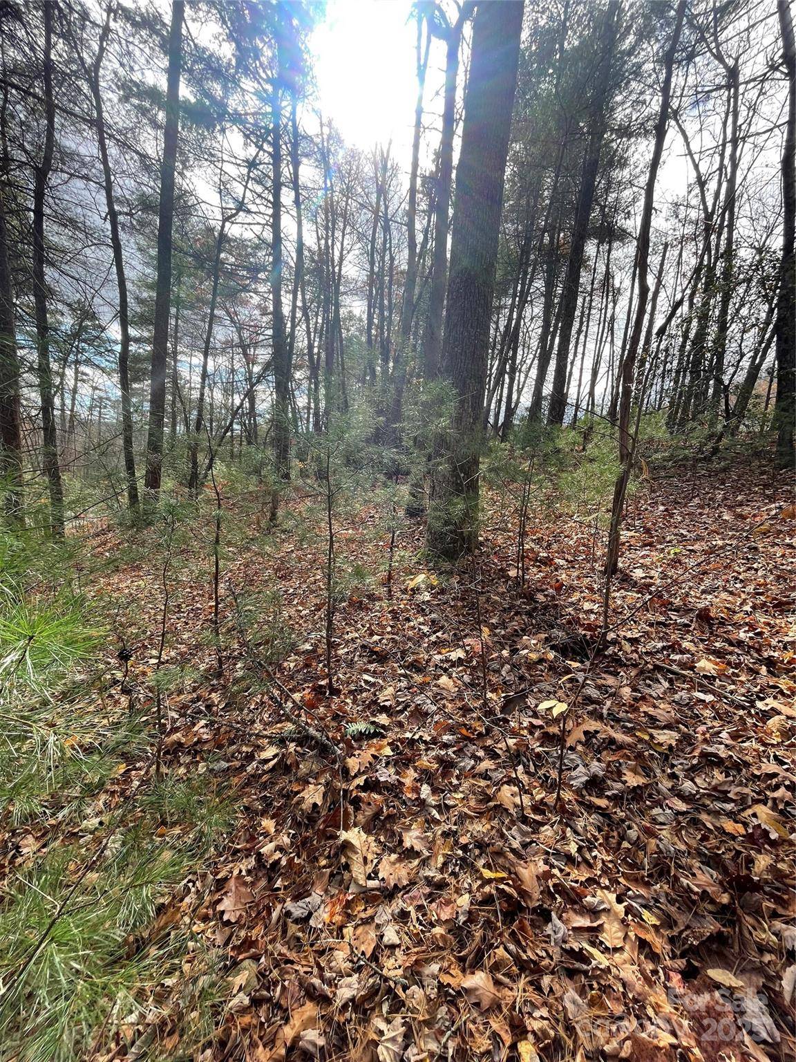 00 Pinnacle Falls LN, Zirconia, NC 28790