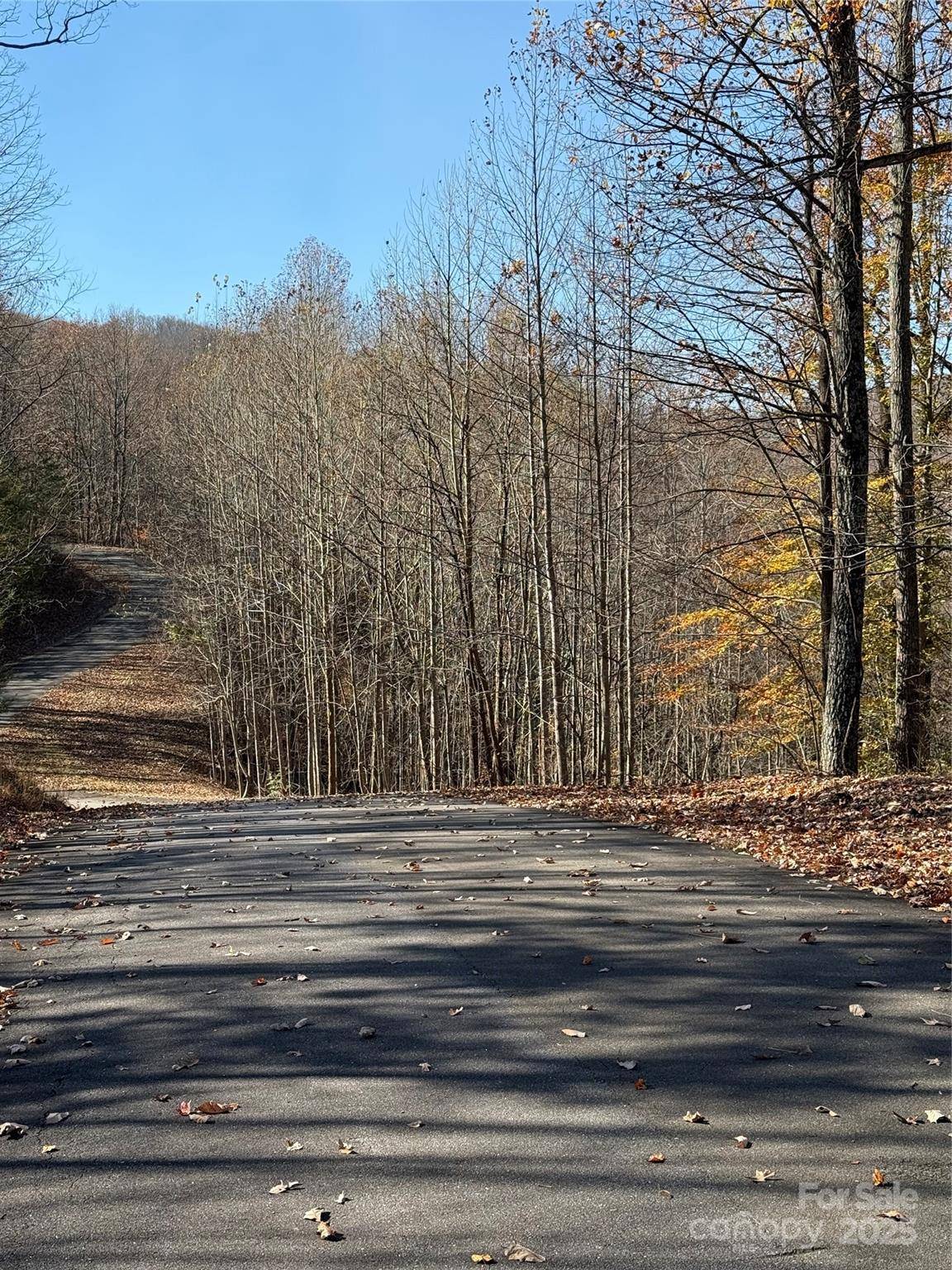 V/L Lot 72 & 170 Black Lark DR, Marion, NC 28752
