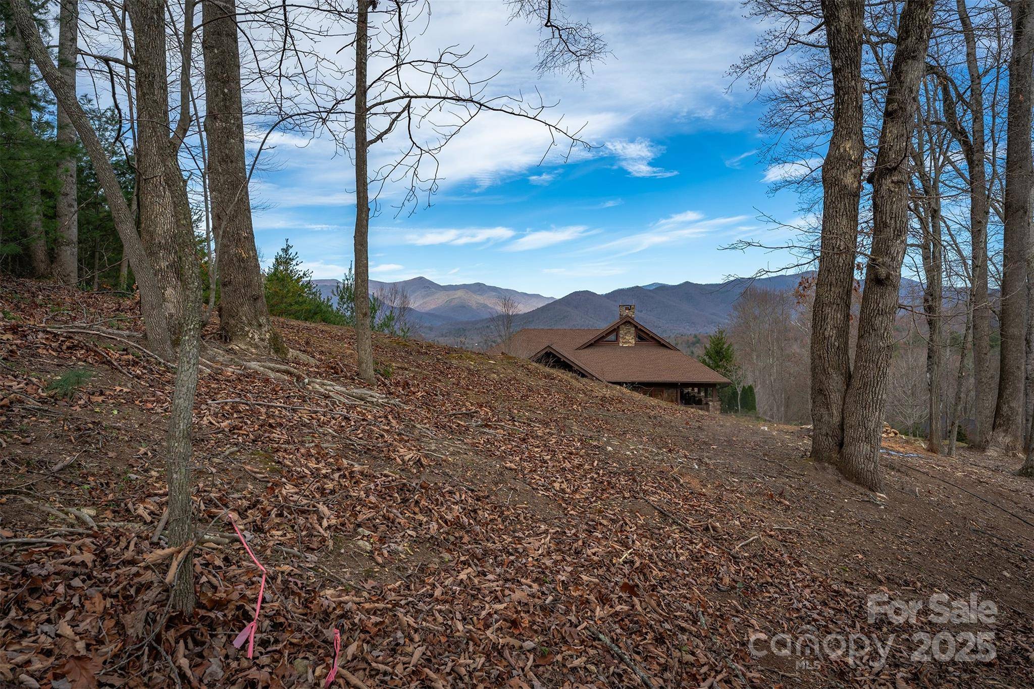31 Old Lafayette LN #22, Black Mountain, NC 28711