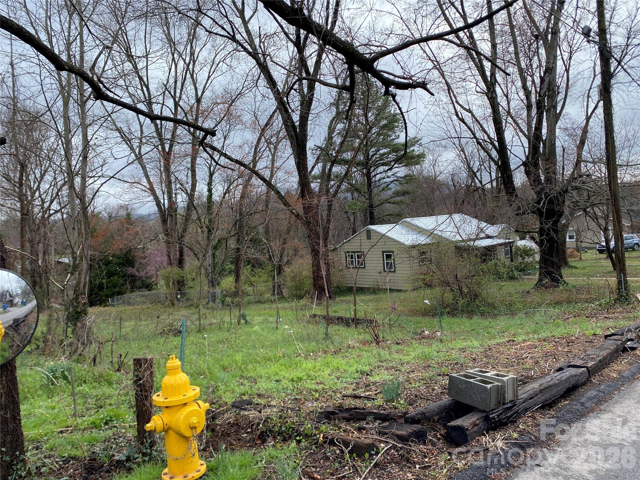 24 Ridge AVE, Asheville, NC 28803
