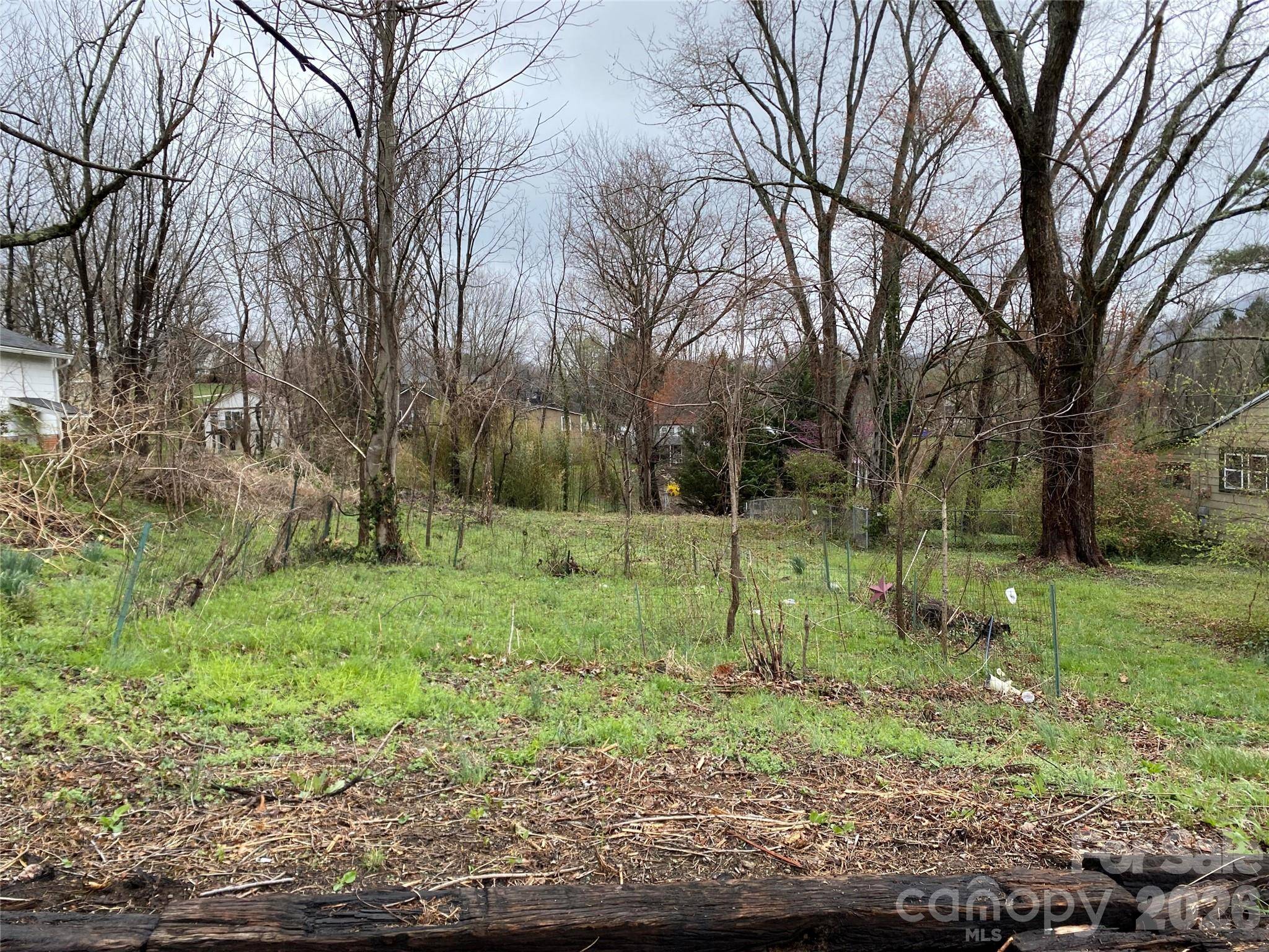 24 Ridge AVE, Asheville, NC 28803