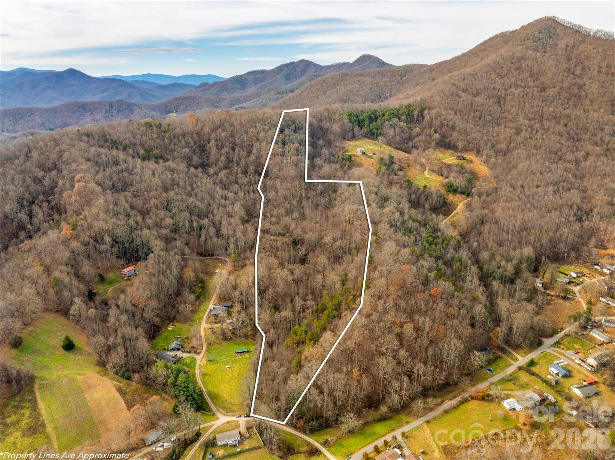 99999 Bay Horse TRL, Candler, NC 28715