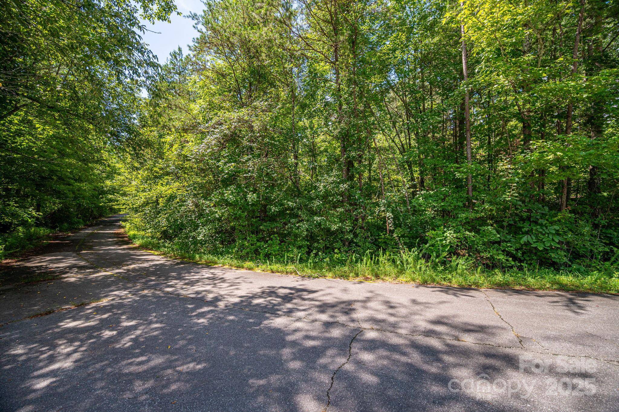 Lot 40 Line DR, Forest City, NC 28043