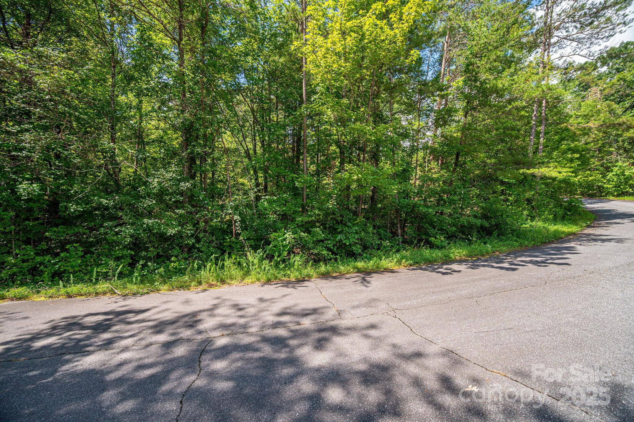 Lot 40 Line DR, Forest City, NC 28043