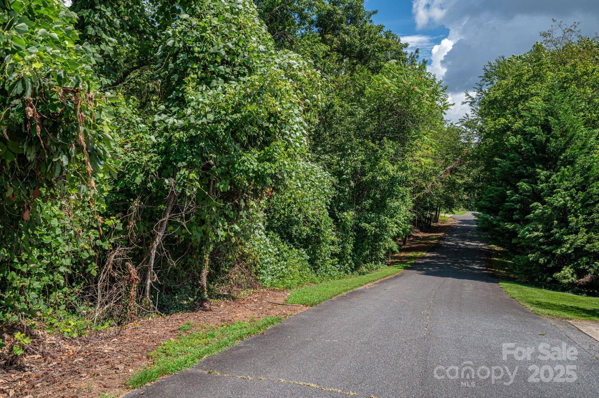 Lot 25 Line DR, Forest City, NC 28043