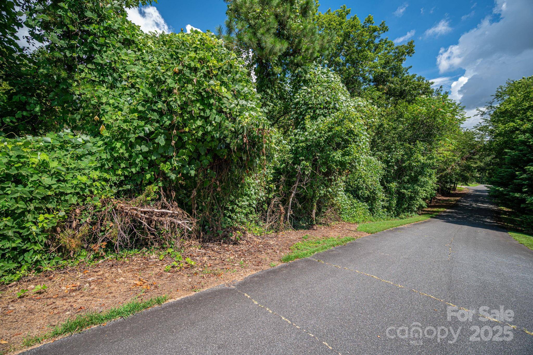 Lot 25 Line DR, Forest City, NC 28043
