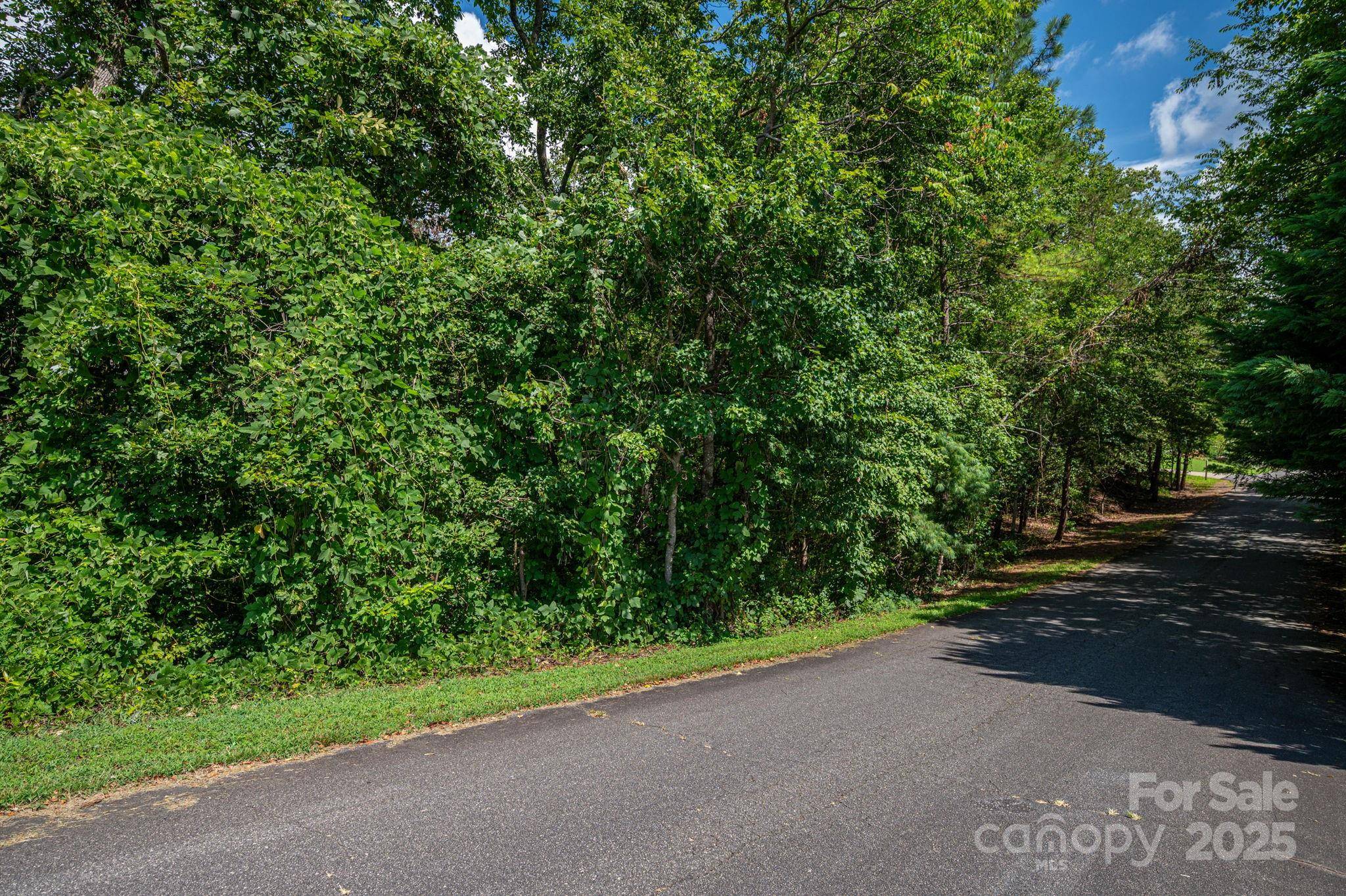 Lot 25 Line DR, Forest City, NC 28043