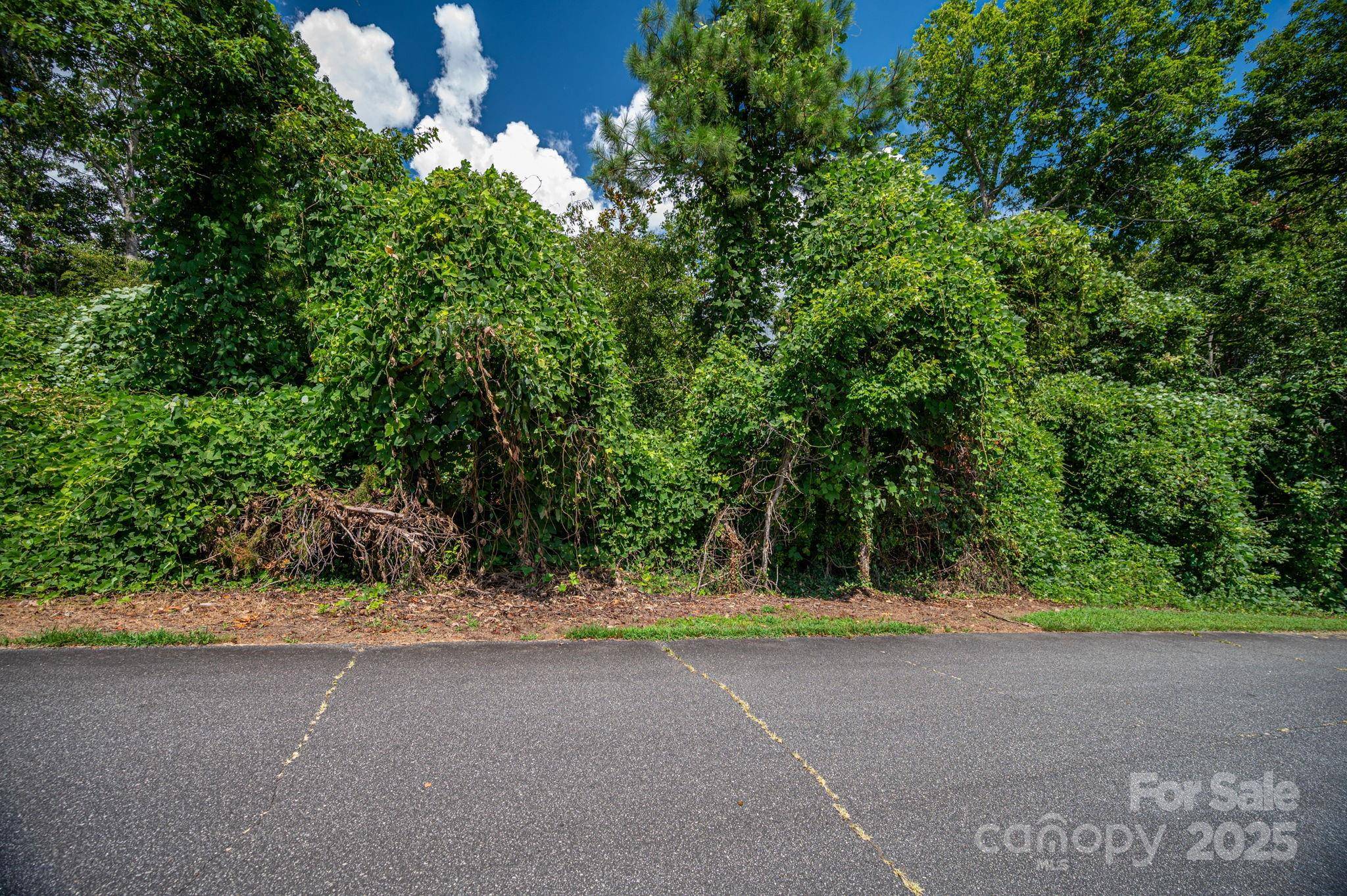 Lot 25 Line DR, Forest City, NC 28043