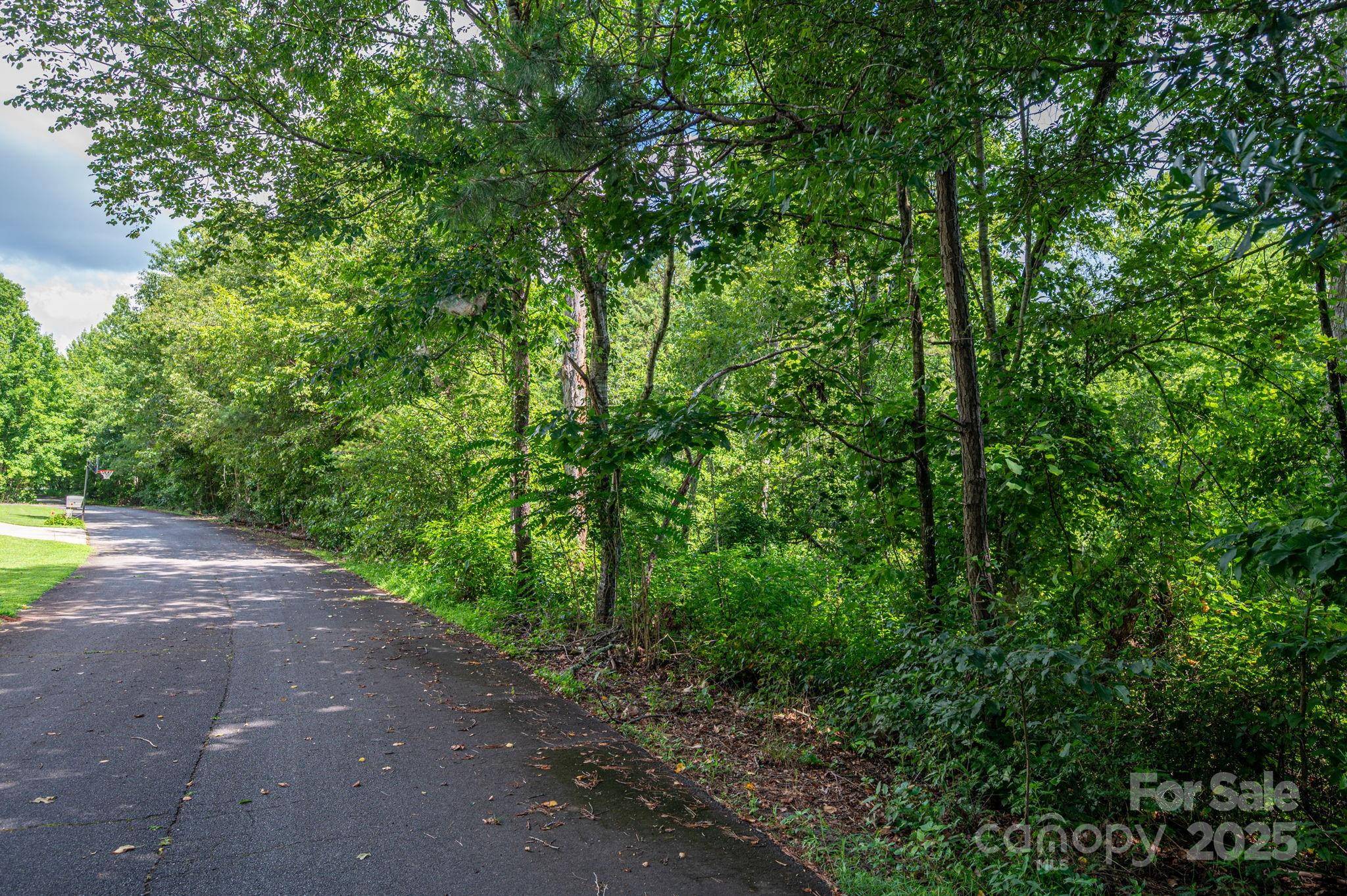 Lot 33 Line DR, Forest City, NC 28043