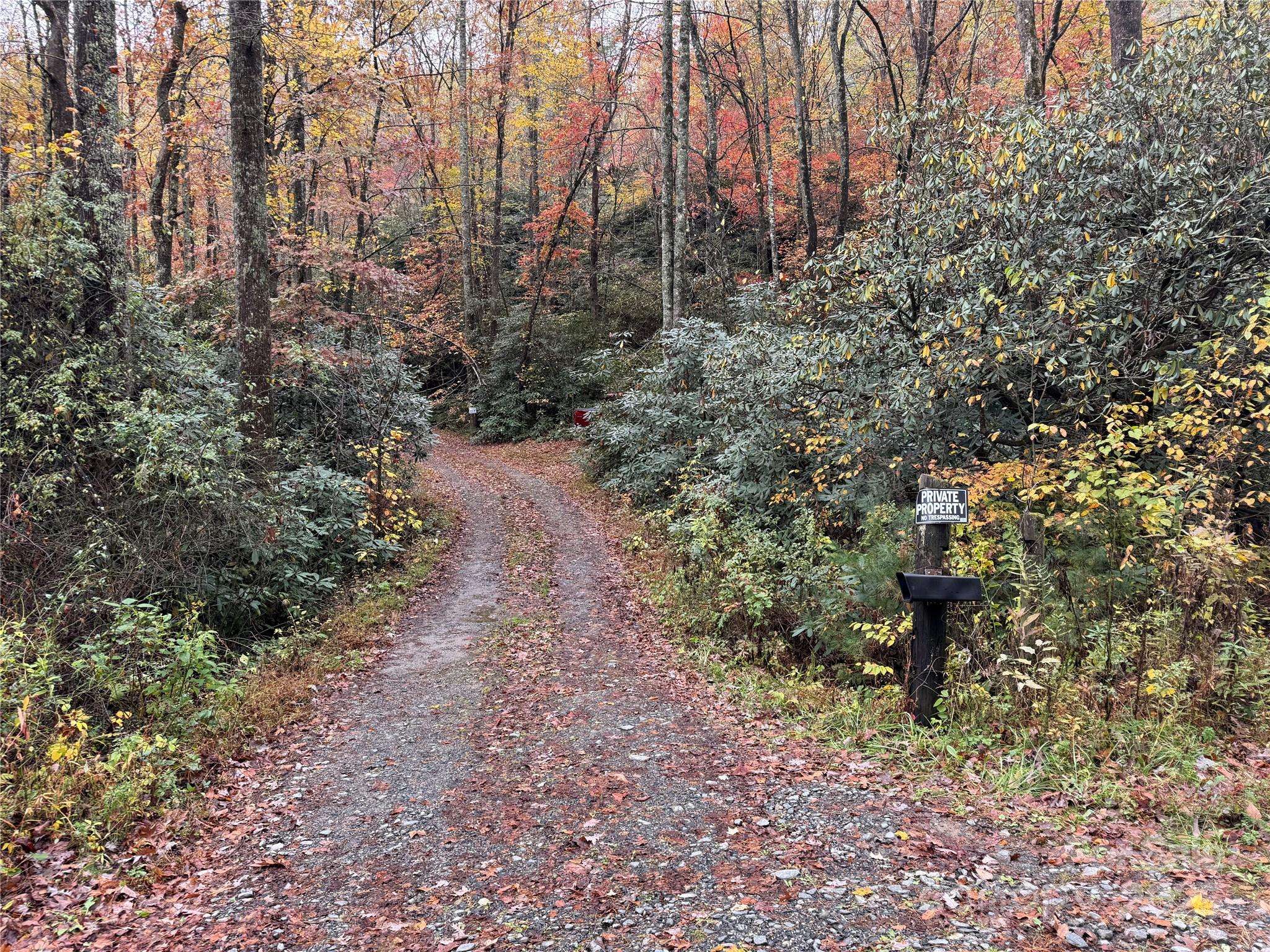 00 King RD, Pisgah Forest, NC 28768