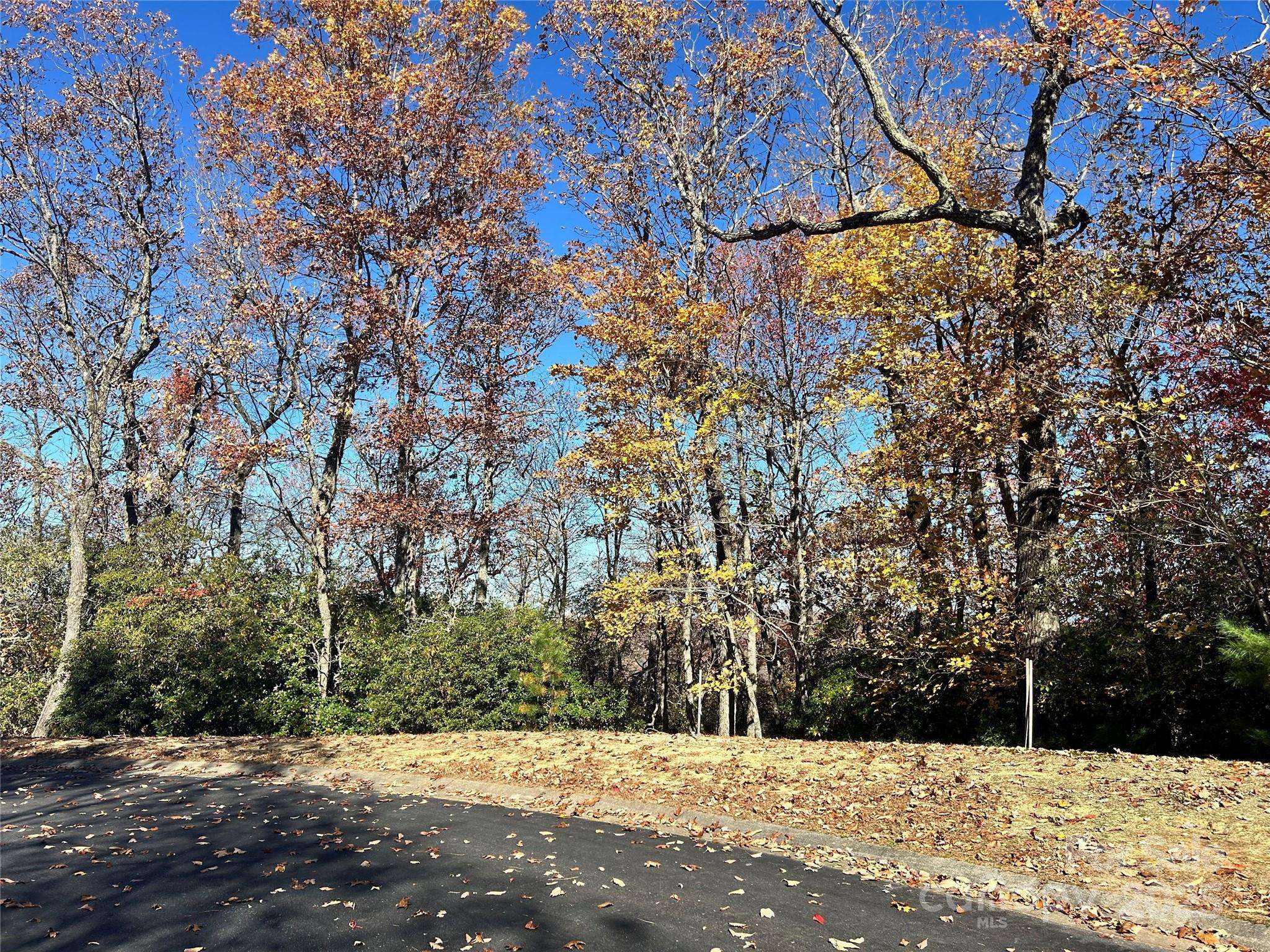 1114 Mills River WAY, Horse Shoe, NC 28742