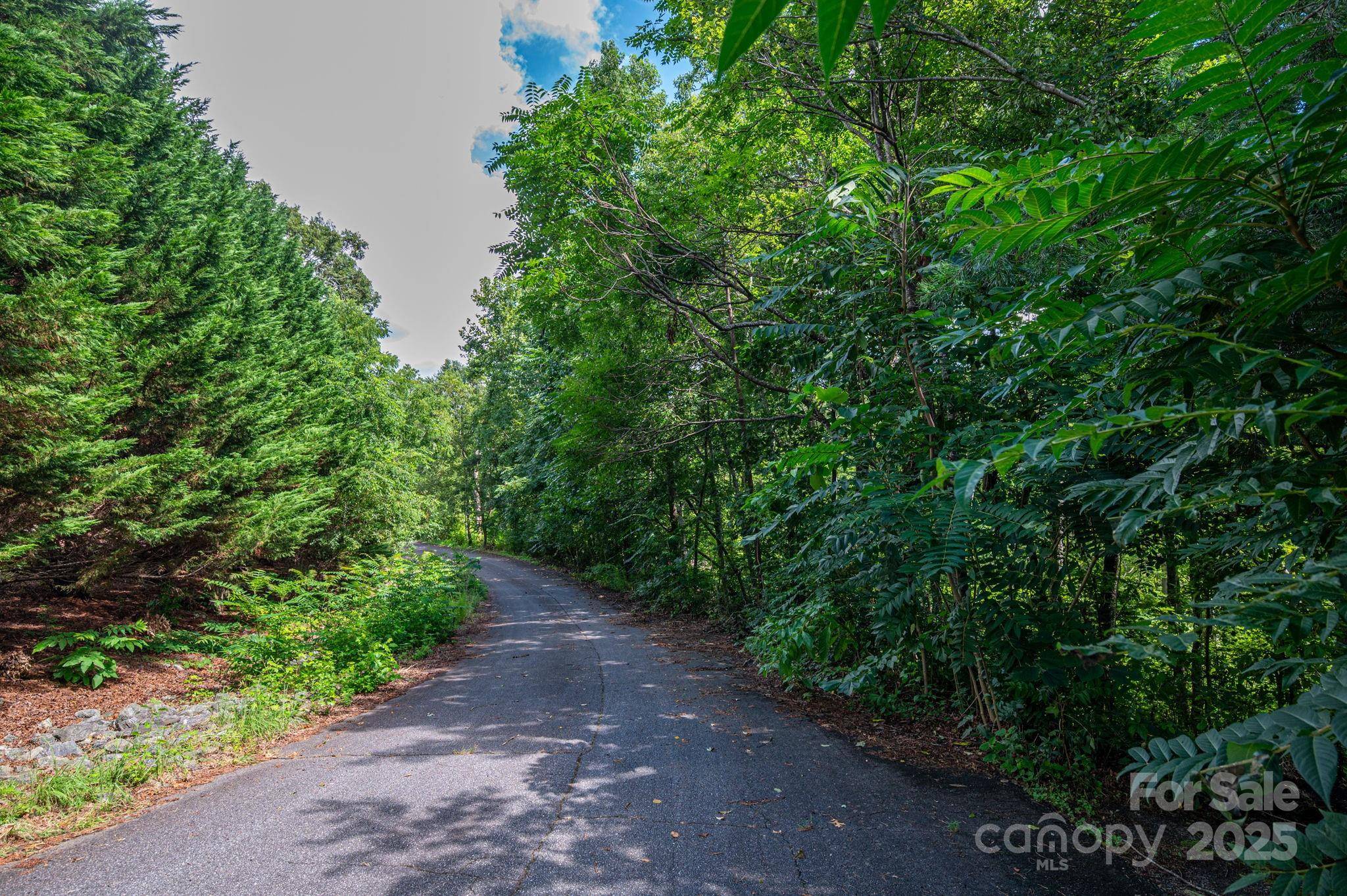 Lot 35 Line DR, Forest City, NC 28043