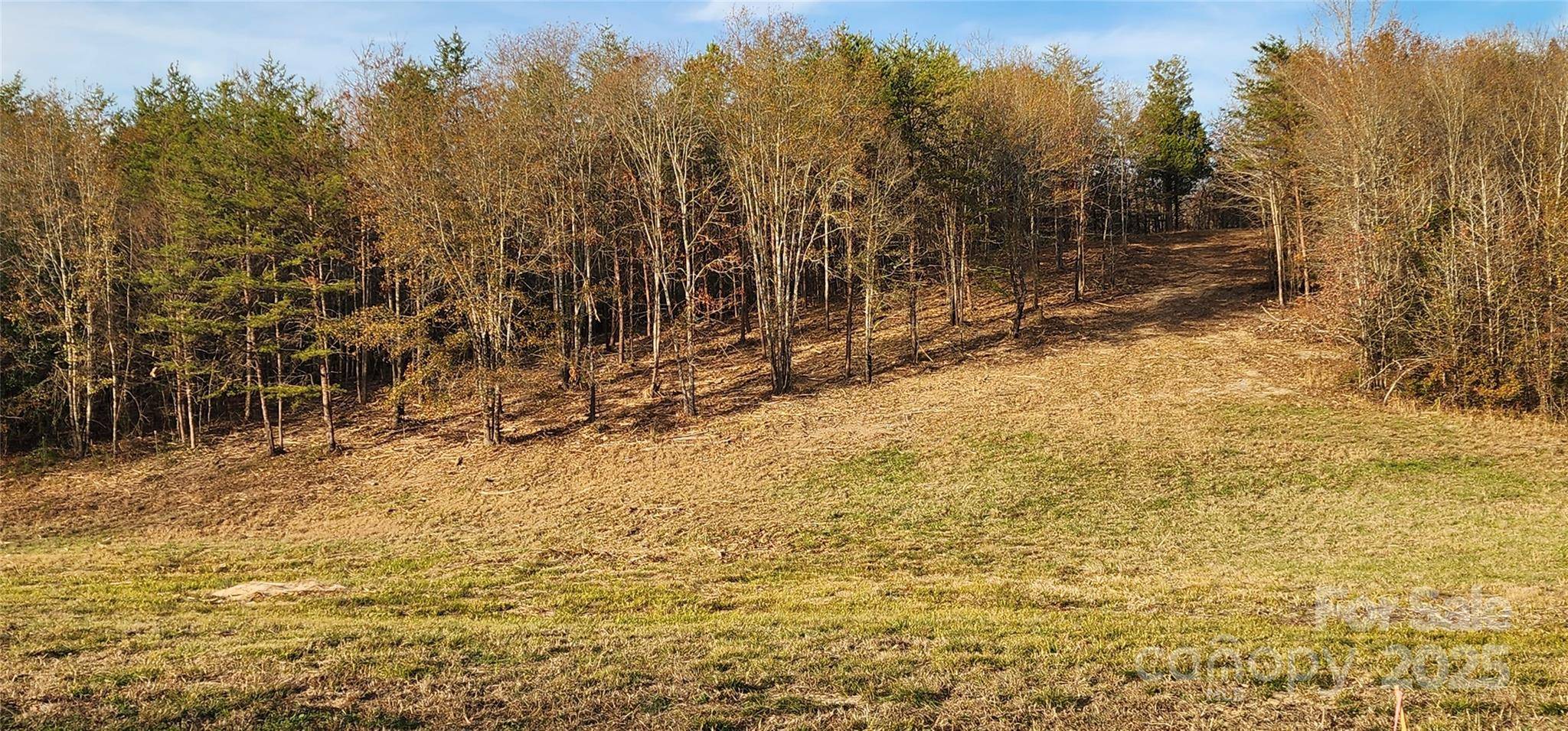 151 Cobb RD, Blacksburg, SC 29702