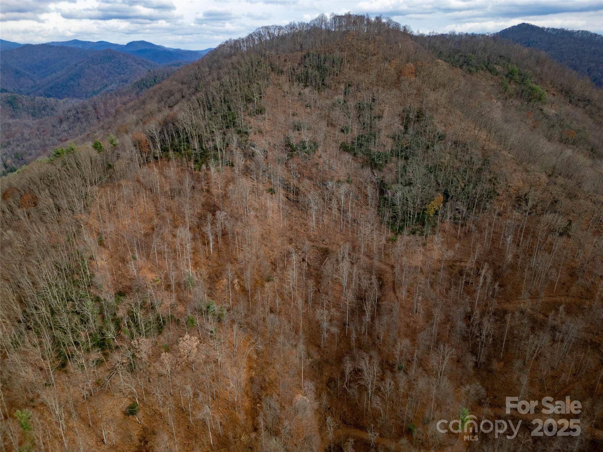 ### Grapevine RD, Marshall, NC 28753