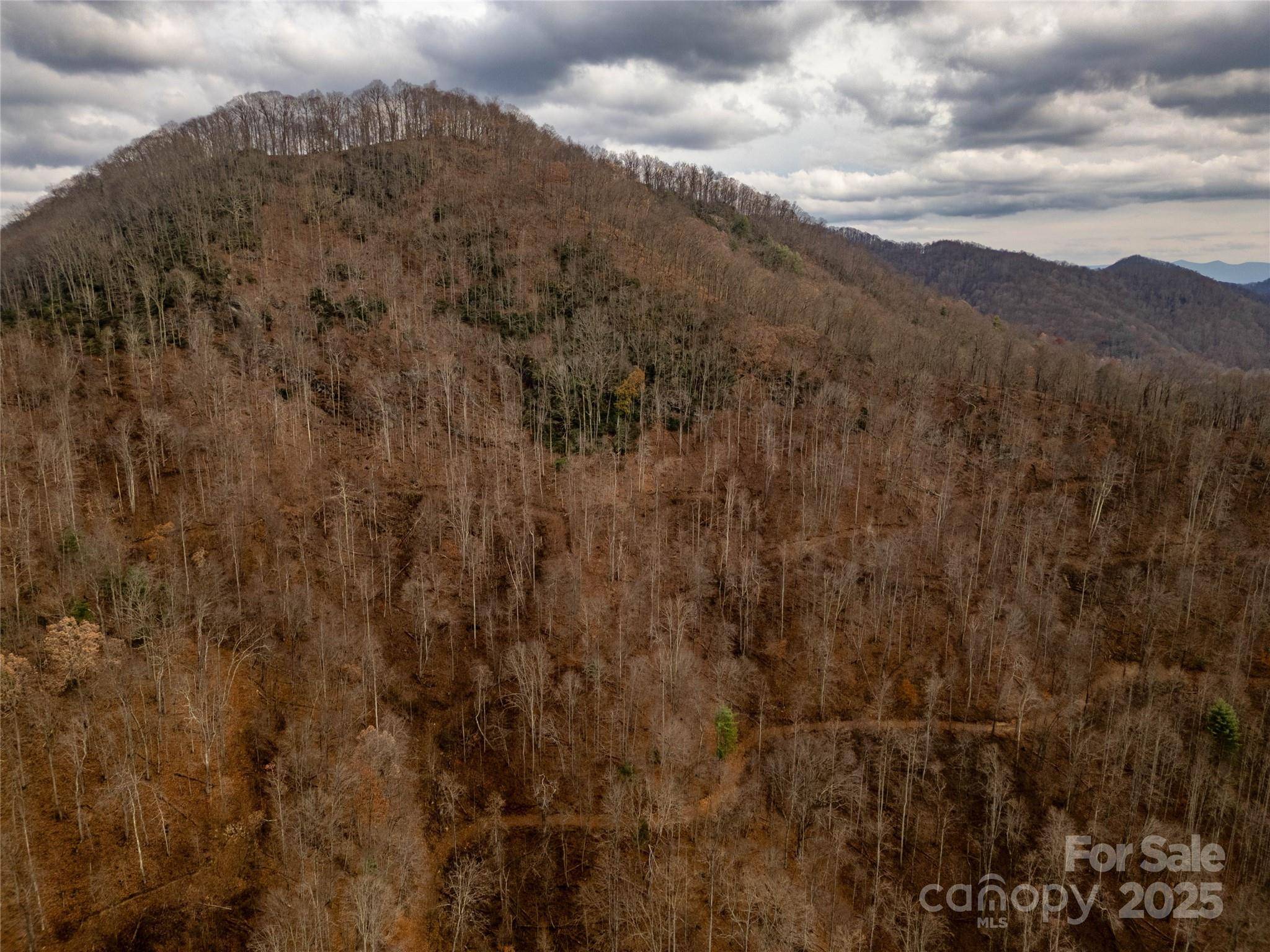 ### Grapevine RD, Marshall, NC 28753