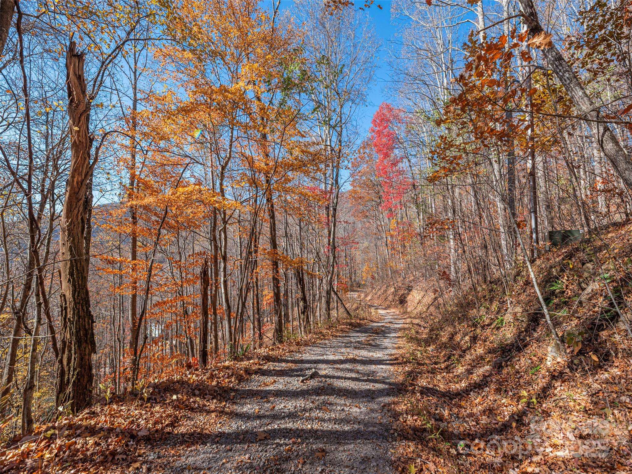 112 & 113 Grouse RD, Clyde, NC 28721