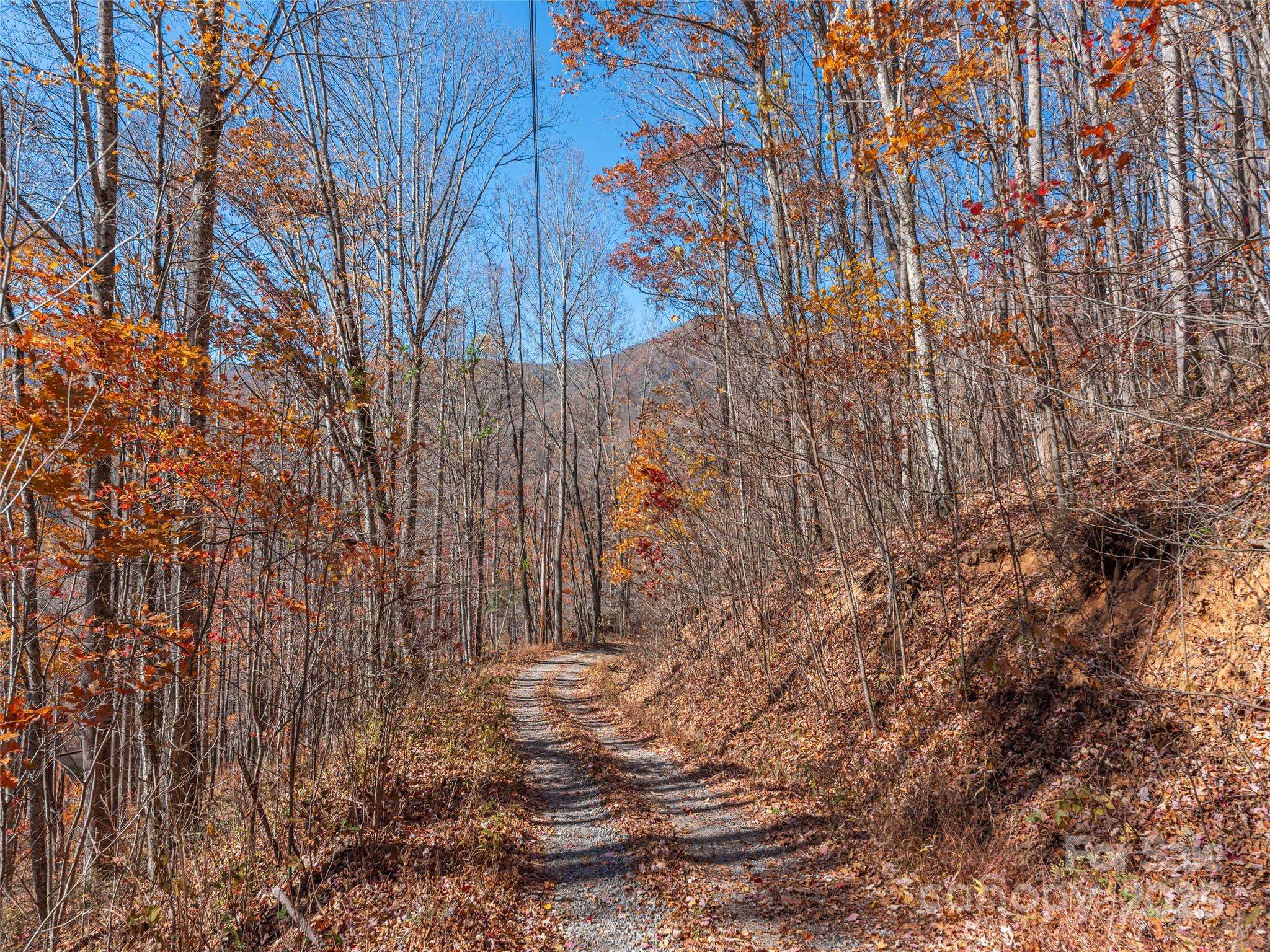 112 & 113 Grouse RD, Clyde, NC 28721