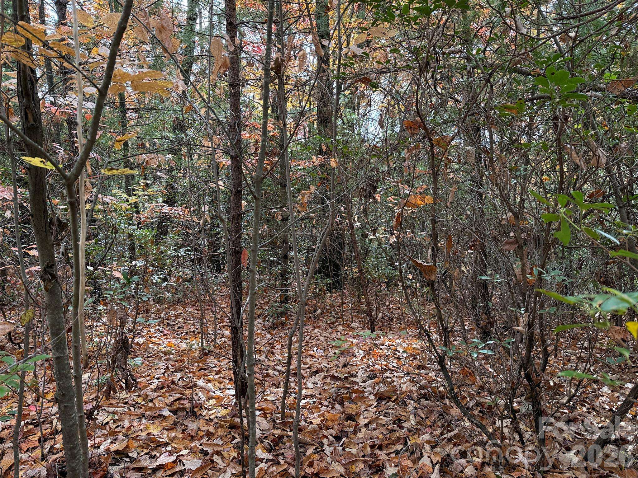TBD Casey Mountain RD #209, Purlear, NC 28665