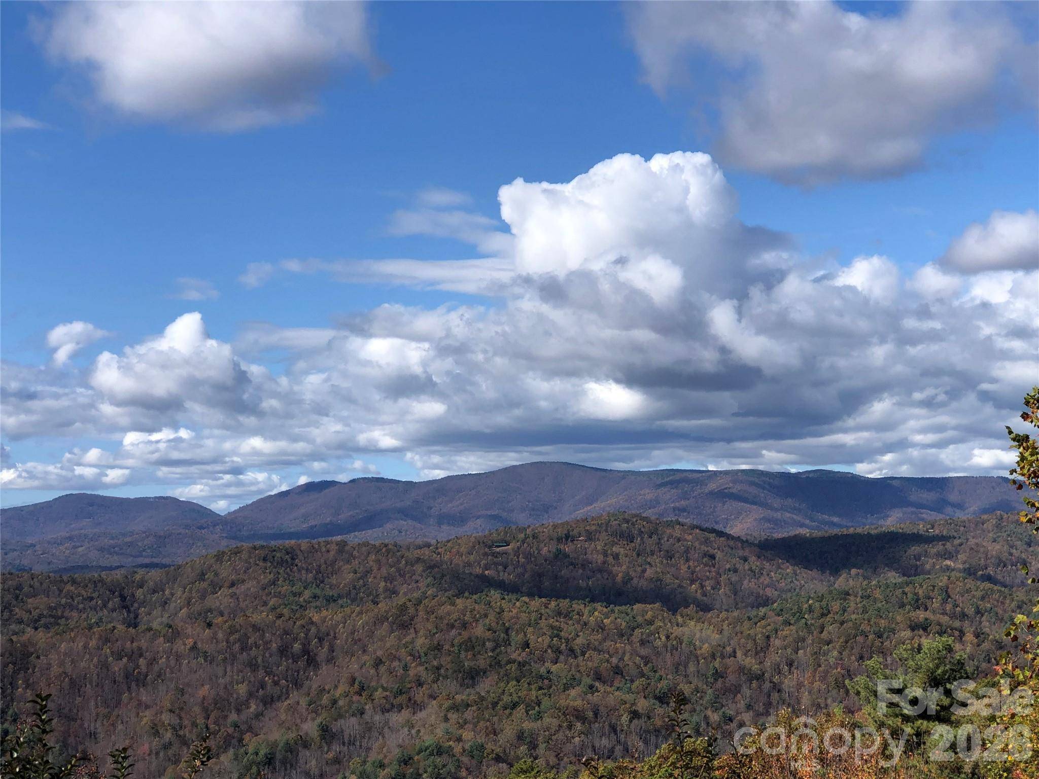 TBD Buck Mountain RD #96, Purlear, NC 28665