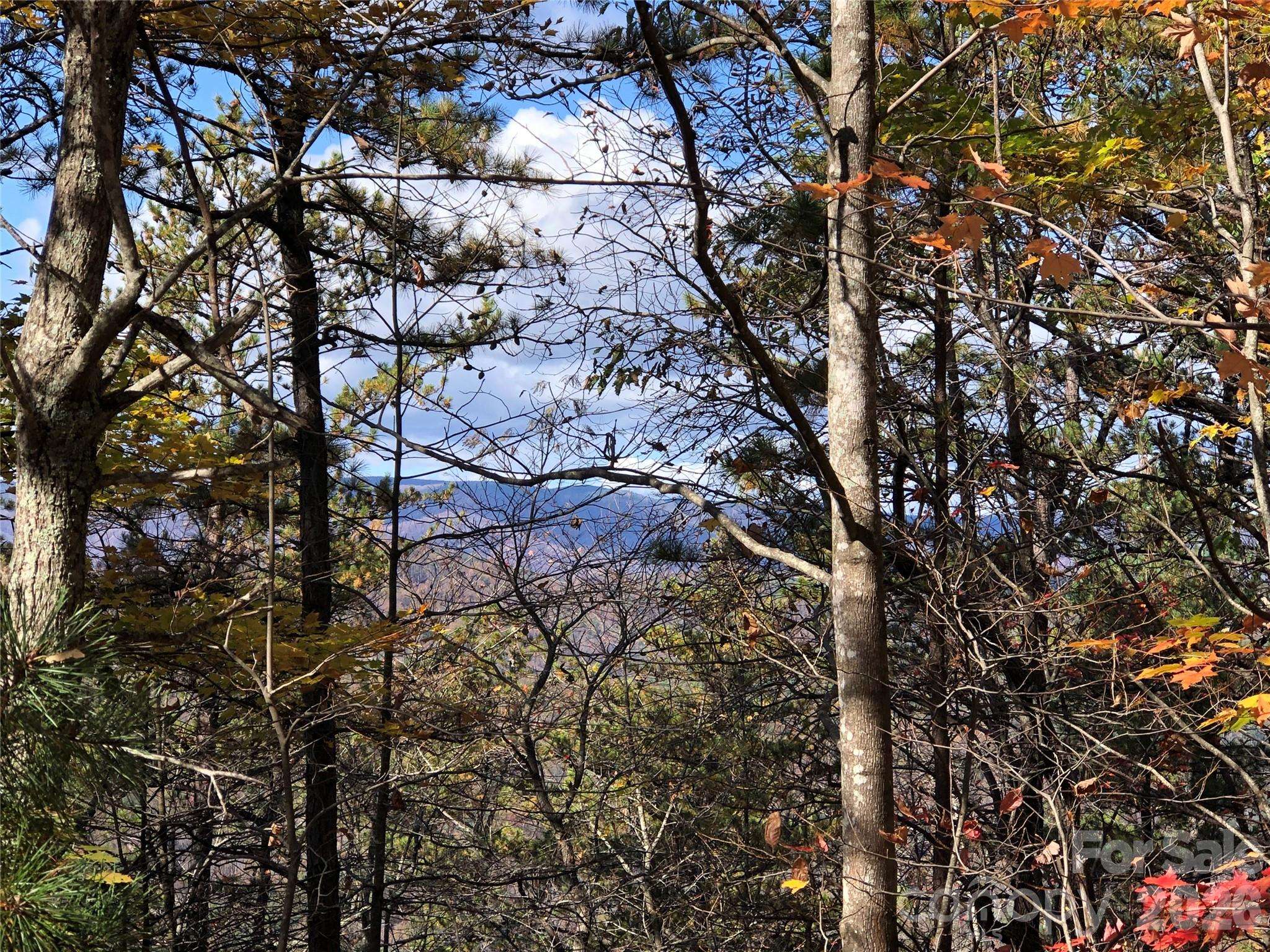 TBD Buck Mountain RD #96, Purlear, NC 28665