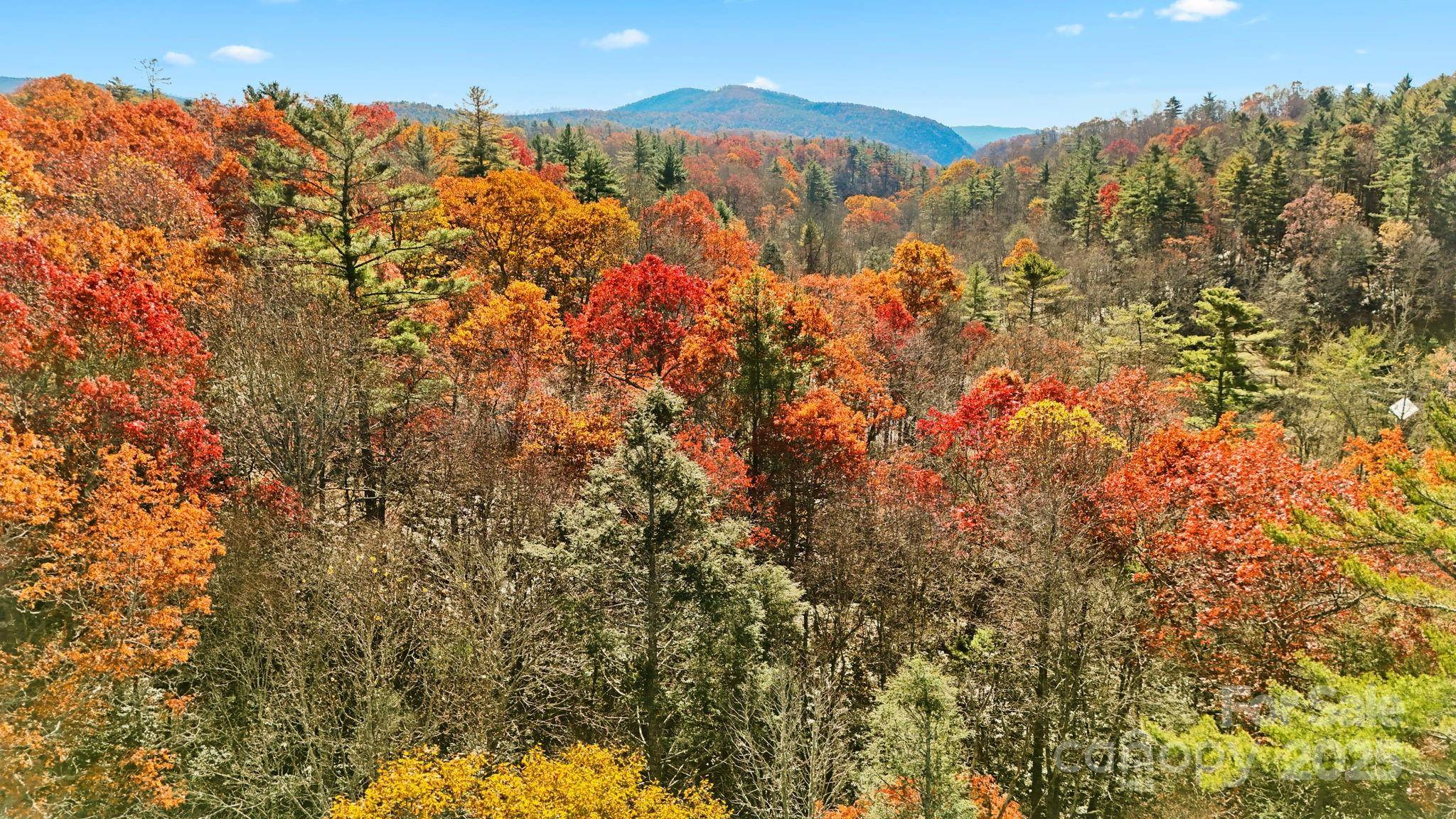 TBD Midway RD, Linville Falls, NC 28647