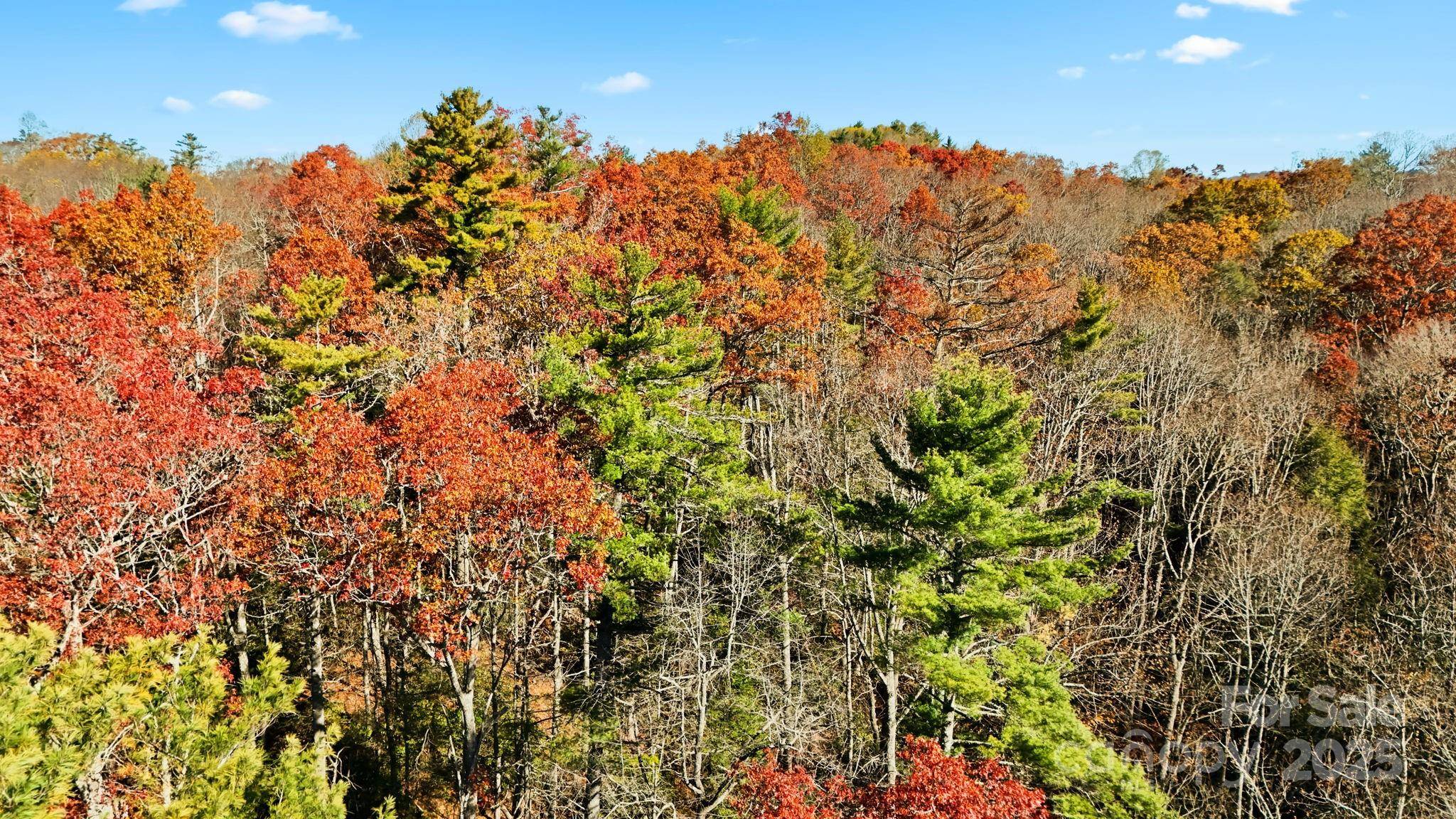 TBD Midway RD, Linville Falls, NC 28647